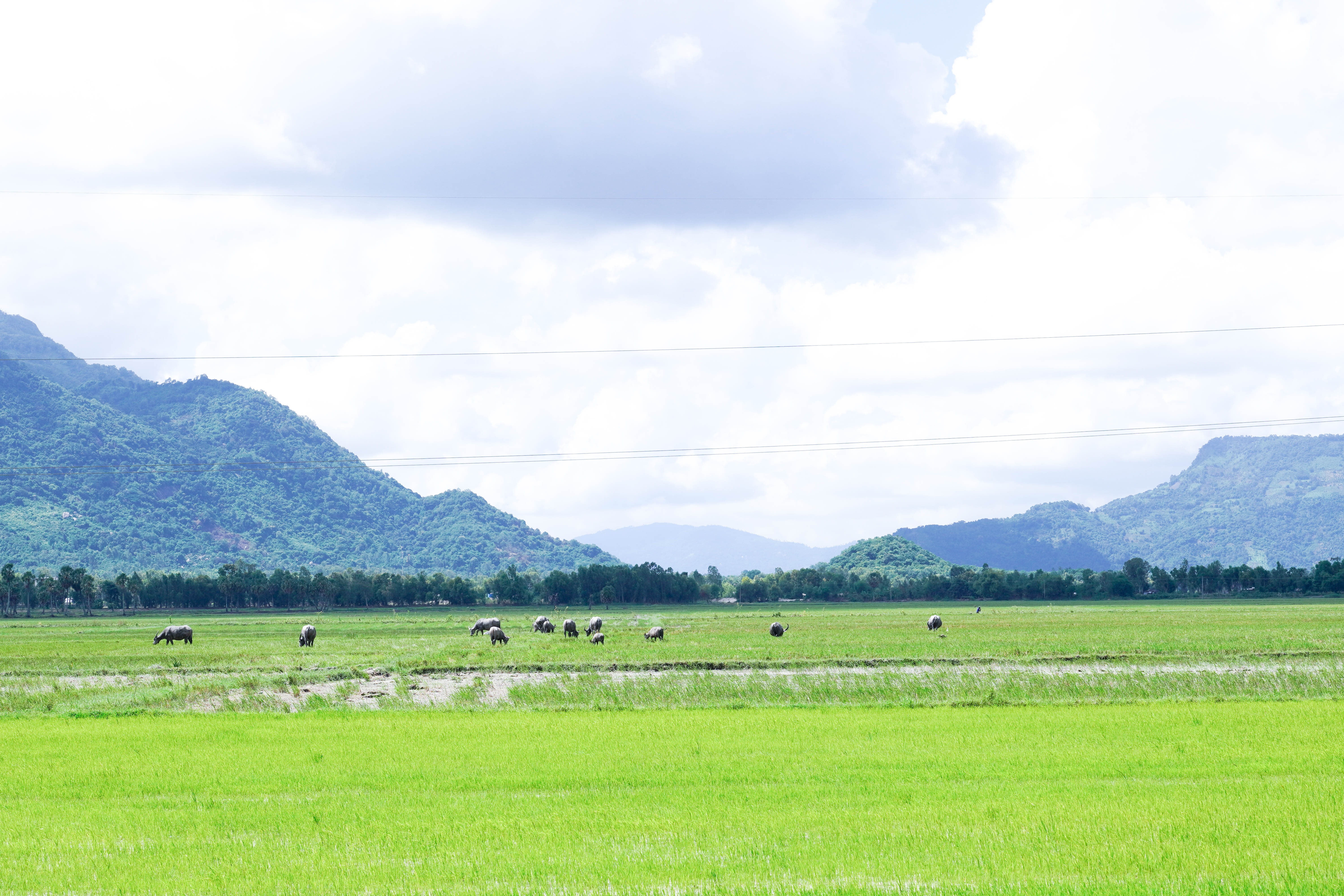 Check-in miền Tây ảnh 7 Check-in mien Tay anh 7