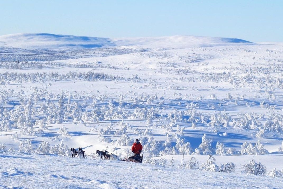 Mua dong o que huong cua ong gia Noel hinh anh