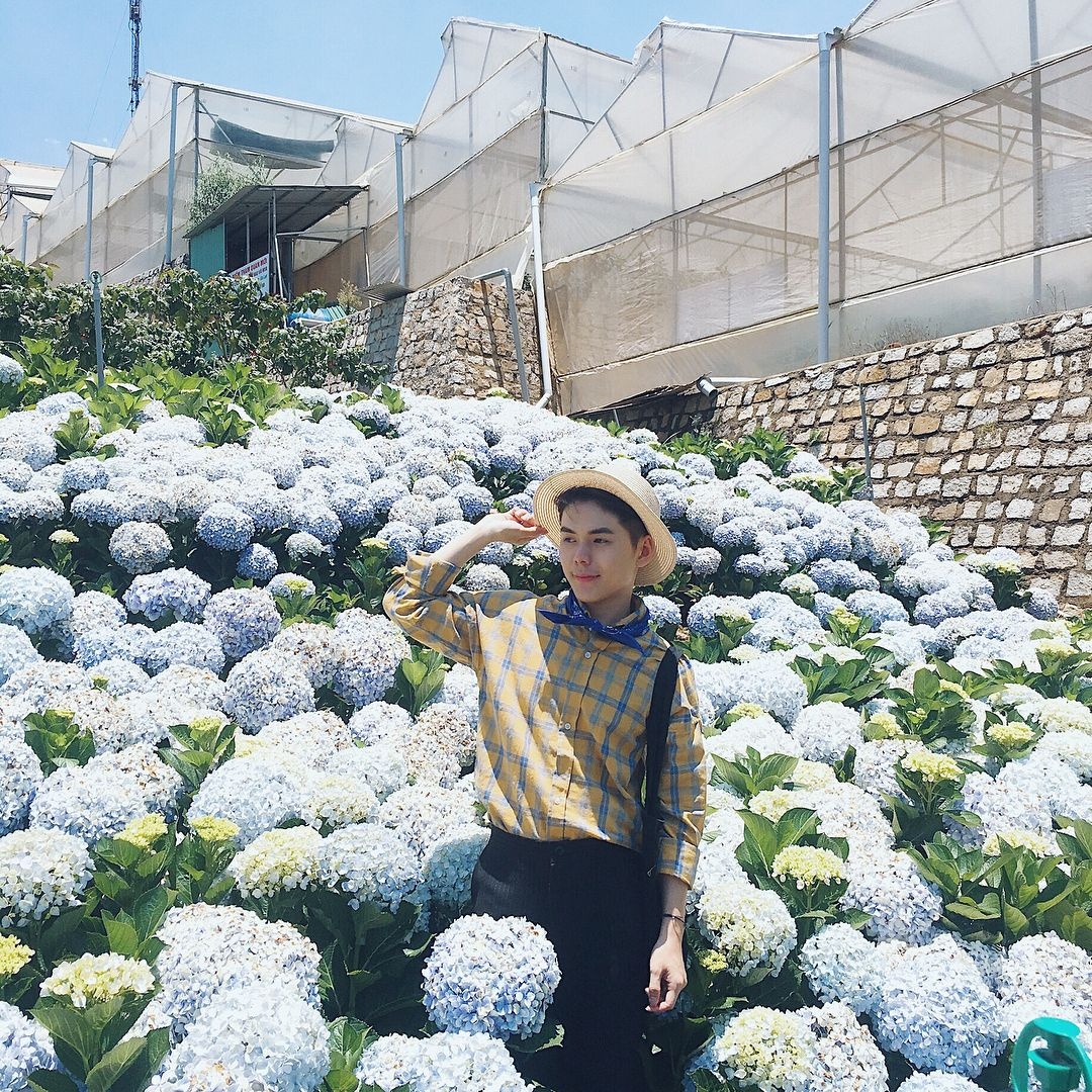 Da Lat Tet Duong lich anh 5