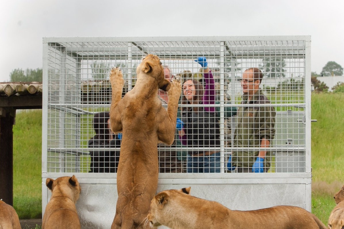 Trai nghiem ngoi nha day su tu bao quanh hinh anh