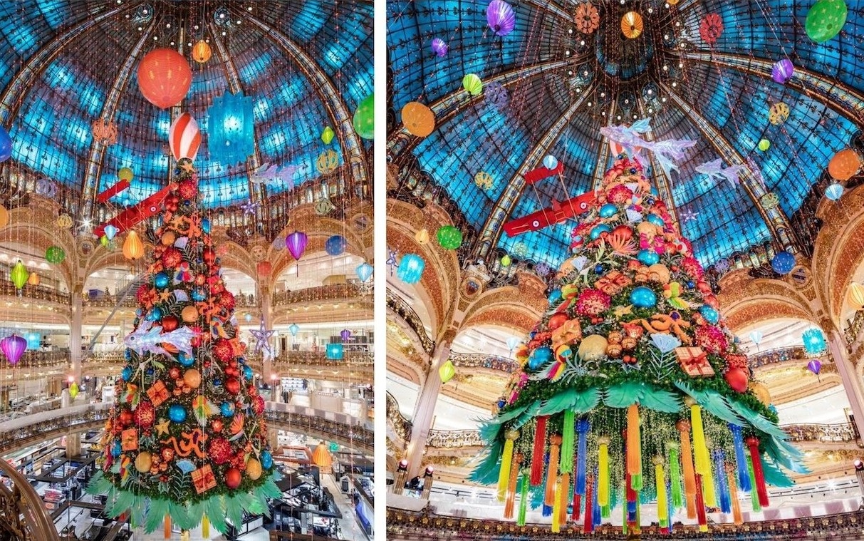 Cây thông Noel  ảnh 2 Cay thong Noel anh 2