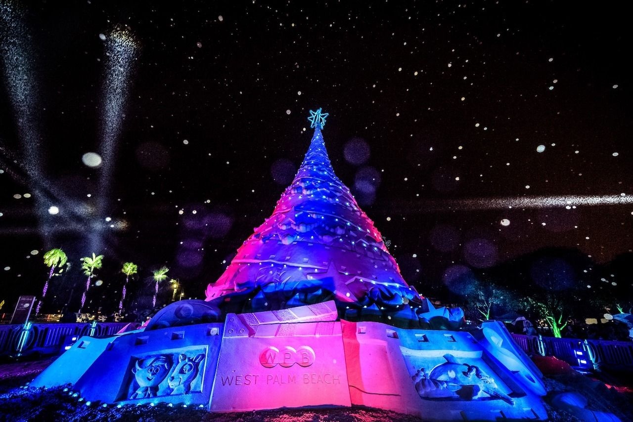 Cây thông Noel  ảnh 3 Cay thong Noel anh 3