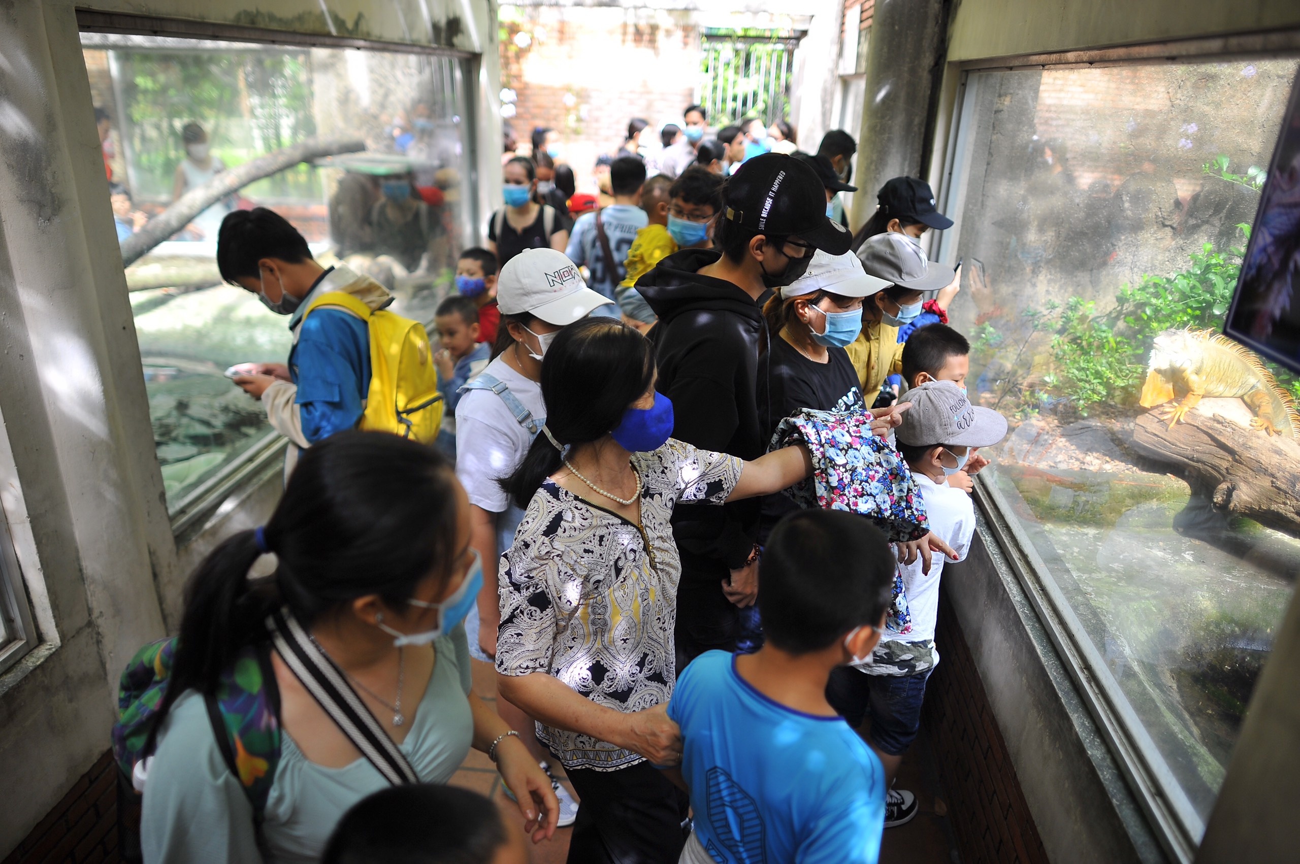Thảo Cầm Viên 2021 ảnh 4 Thao Cam Vien 2021 anh 4
