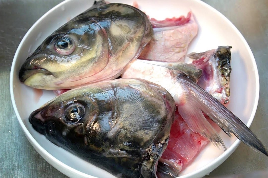 Cach nau canh dau ca voi dau hu, ca chua hinh anh