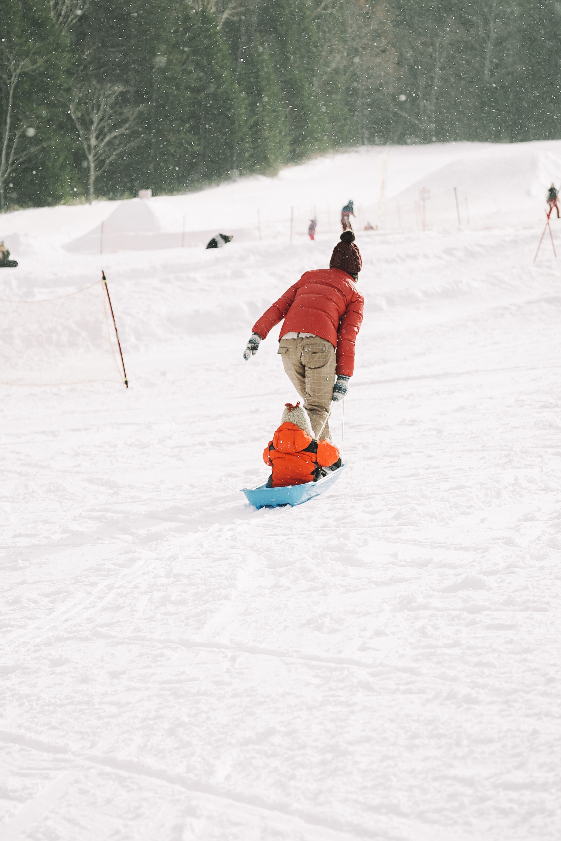 Nhat Ban mua dong anh 6