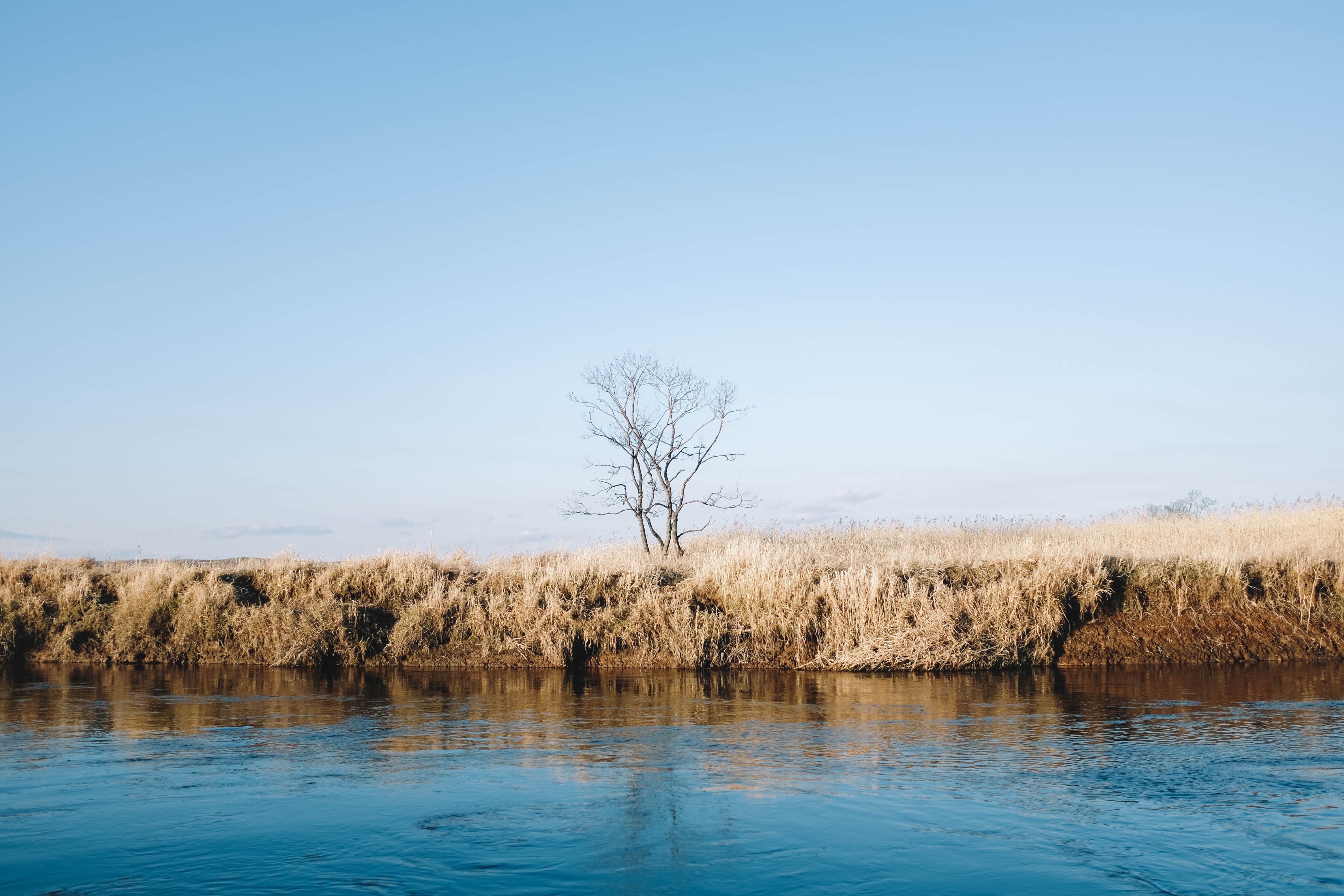 Nhat Ban mua dong anh 12