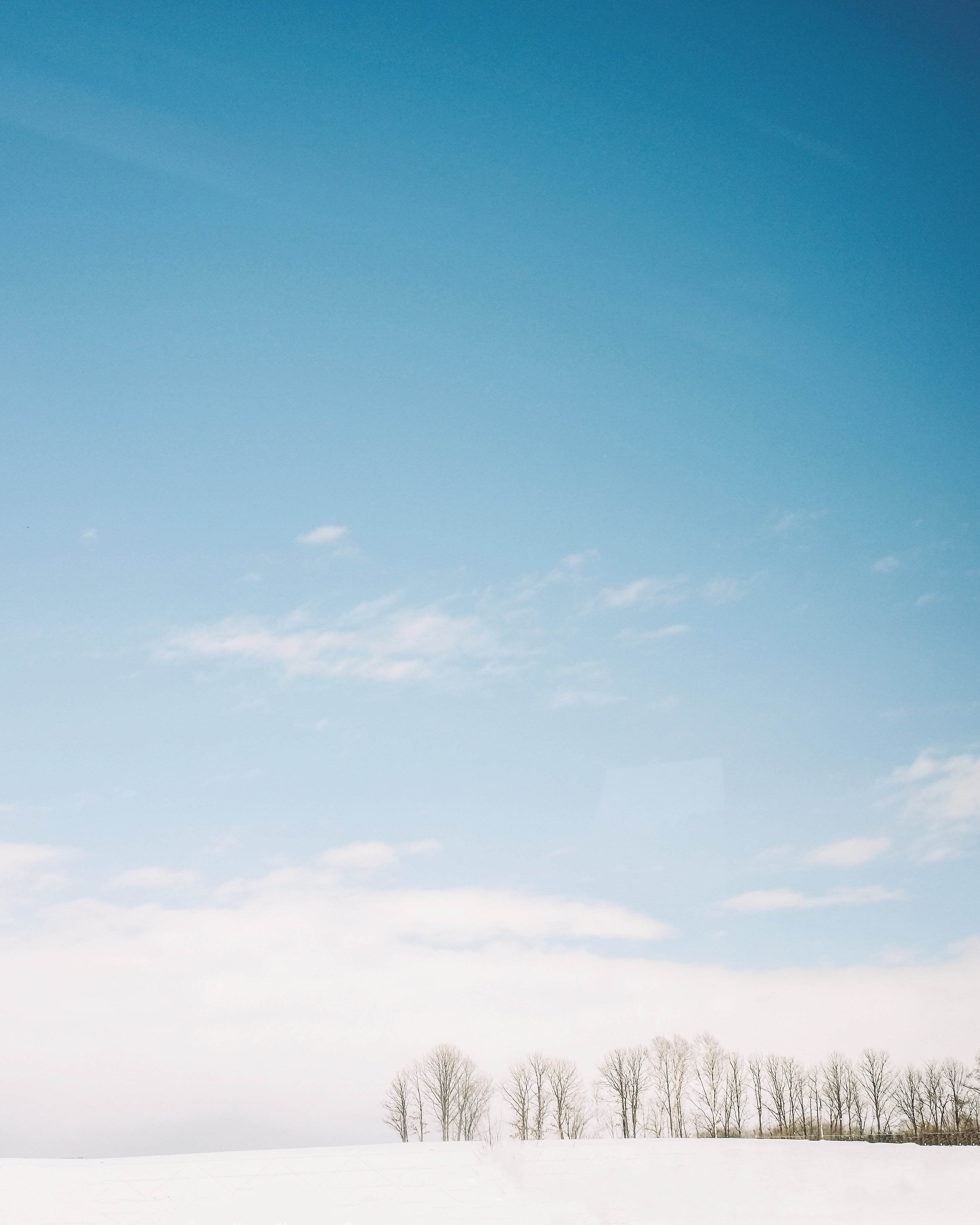 Nhat Ban mua dong anh 9