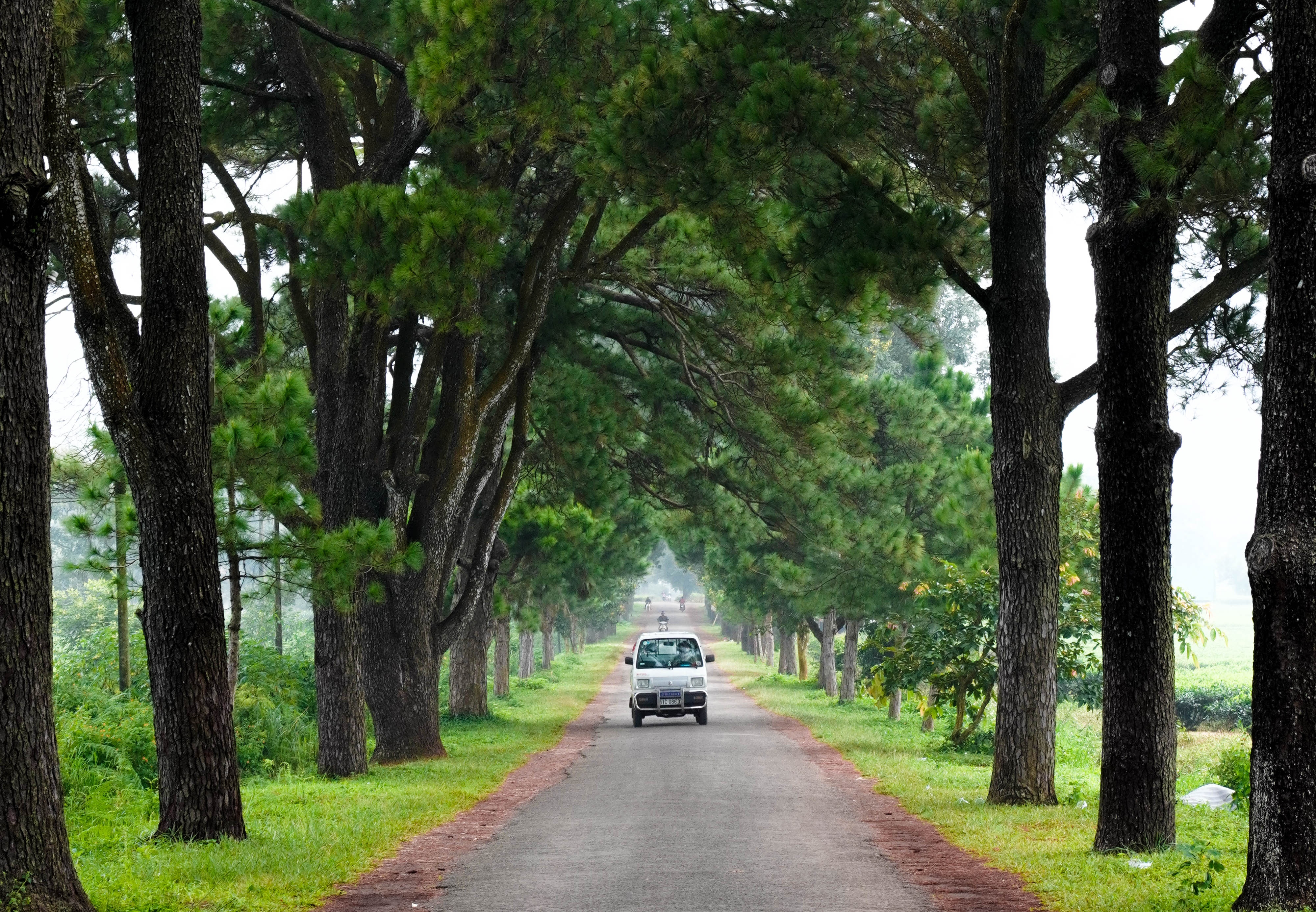 Ve dep binh yen cua pho nui Gia Lai hinh anh
