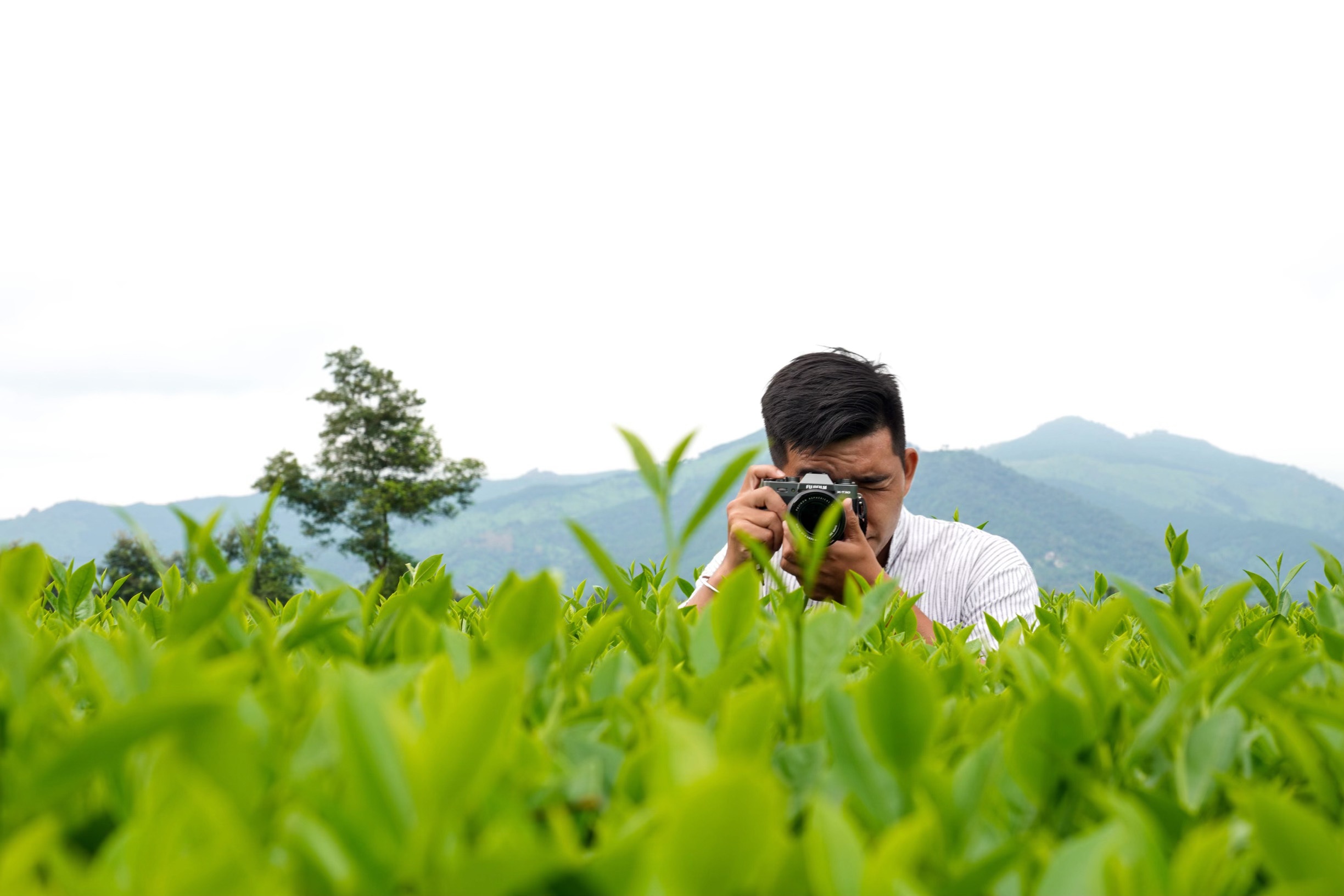 check-in Gia Lai anh 3
