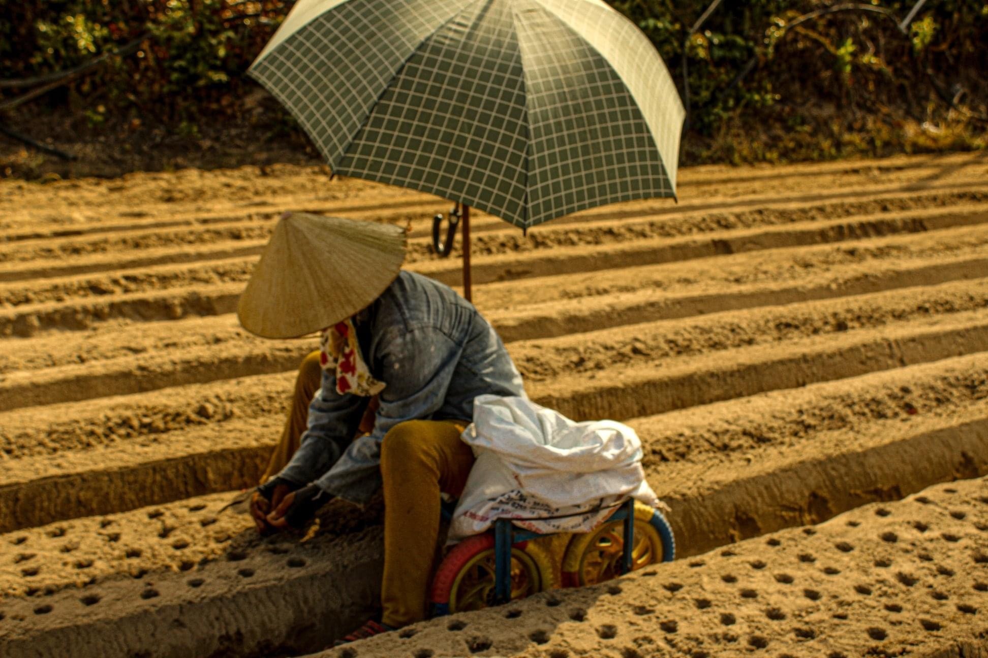 Du lich Quy Nhon anh 8