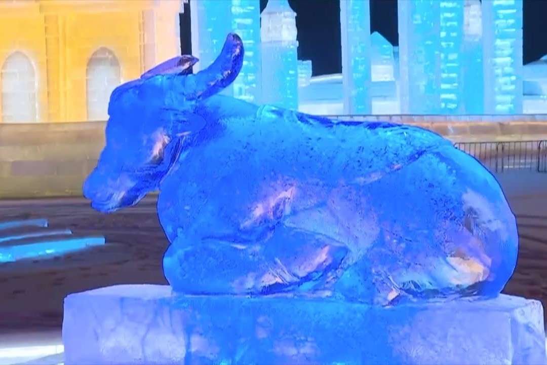 Dieu khac trau bang mung nam Tan Suu o Trung Quoc hinh anh