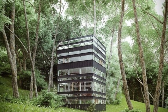 Ngoi nha la an giua rung o Nhat Ban hinh anh