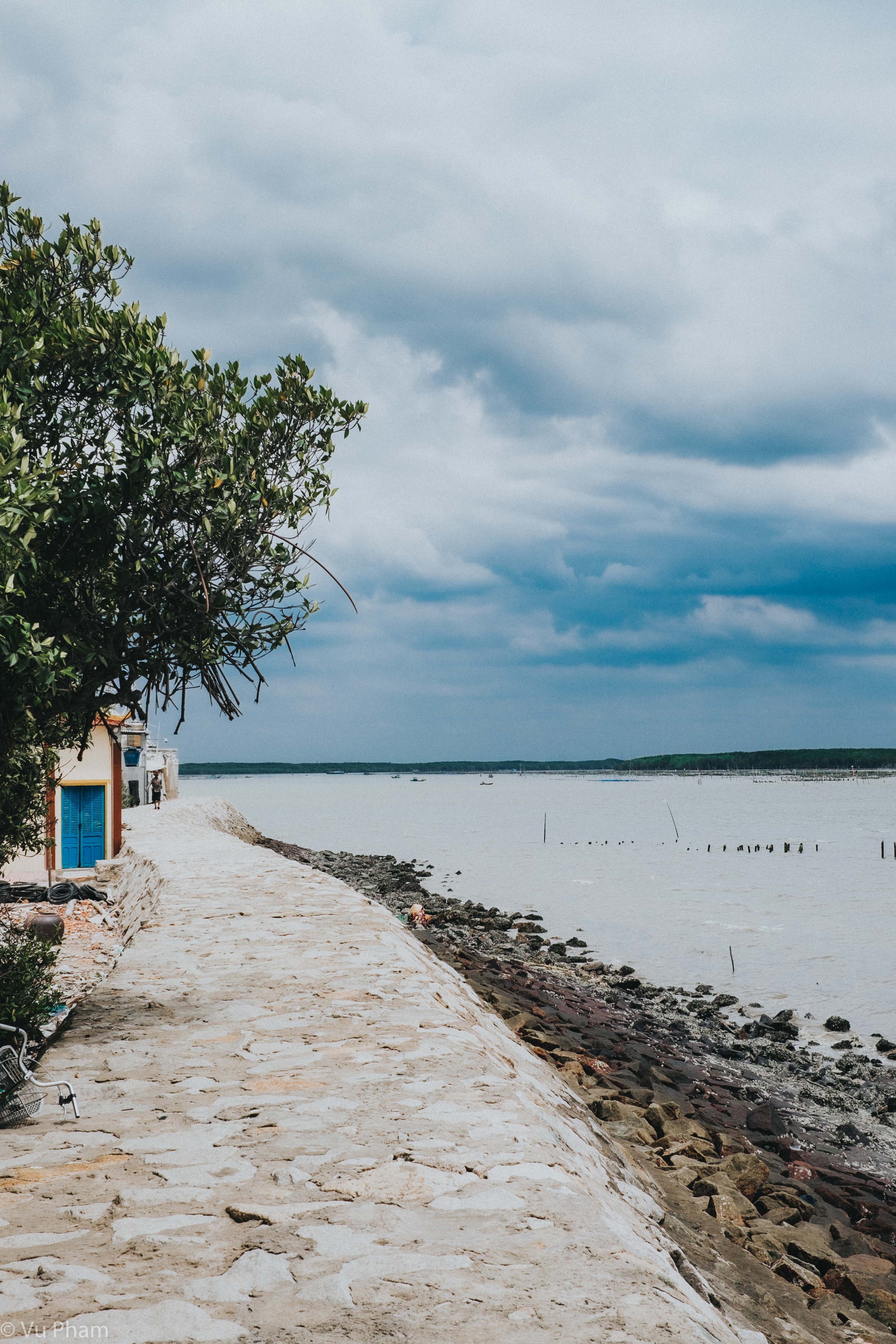 du lịch Cần Giờ ảnh 3 du lich Can Gio anh 3