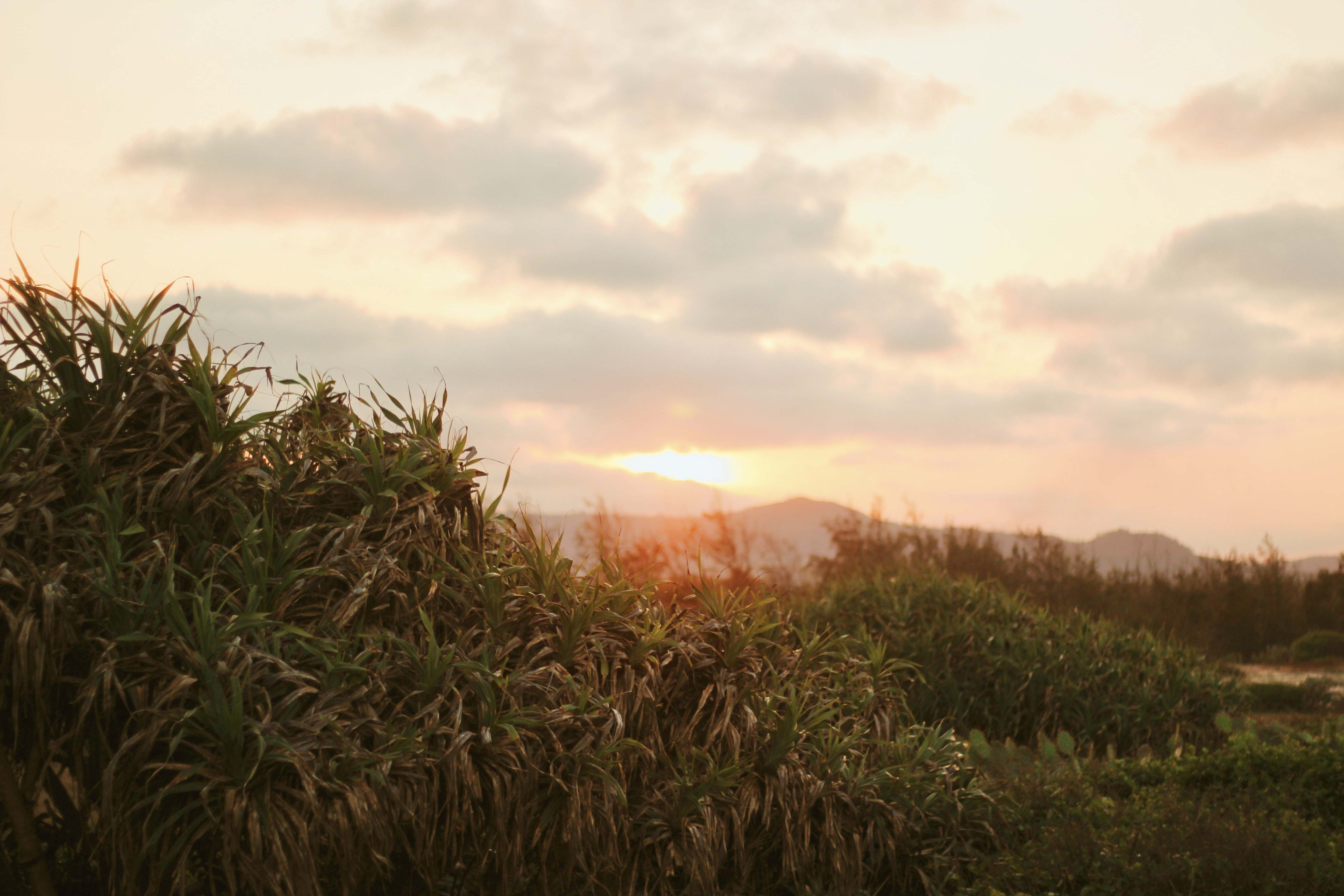 du lich Phu Yen anh 27