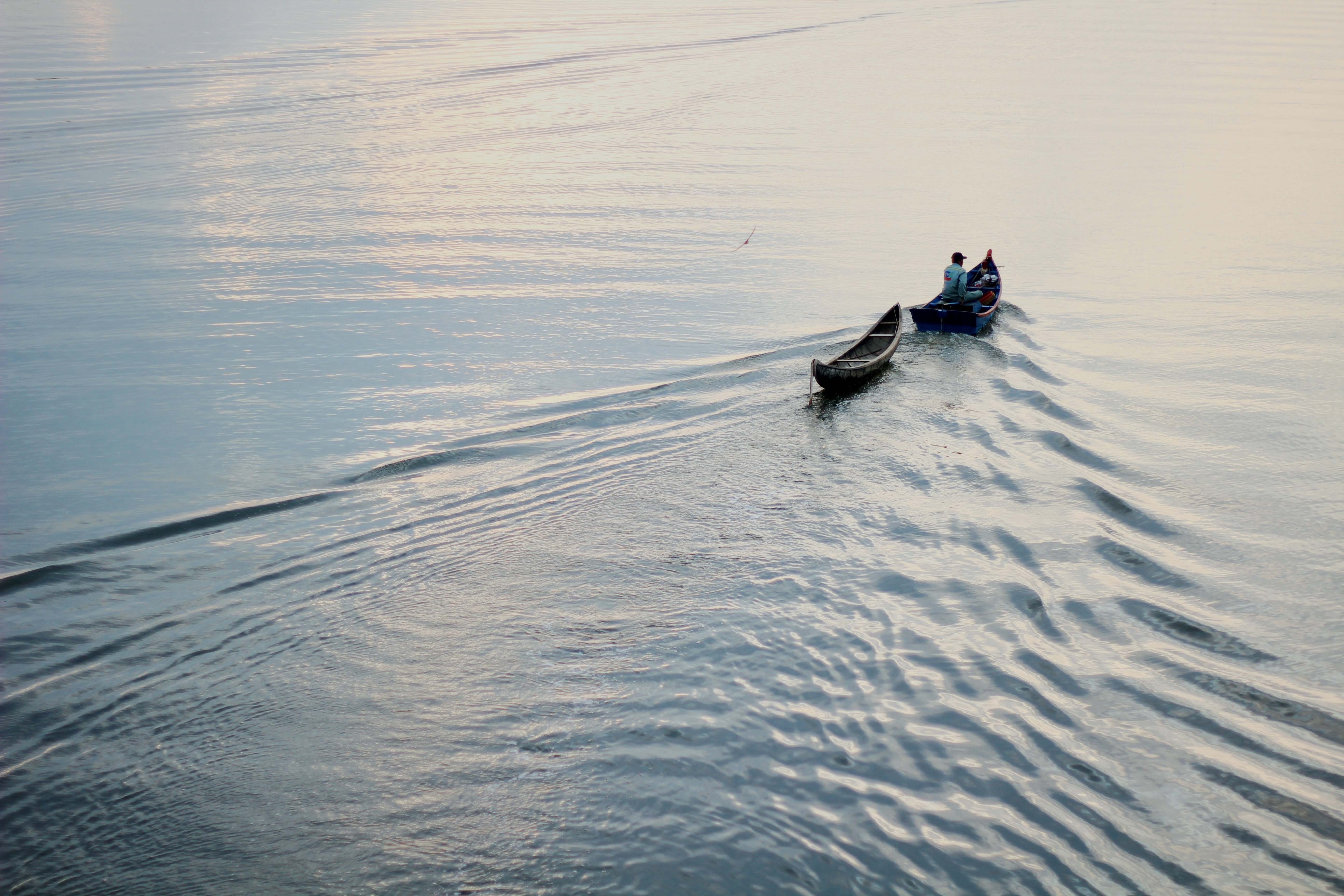 Phu Yen khong chi co 'hoa vang tren co xanh' hinh anh