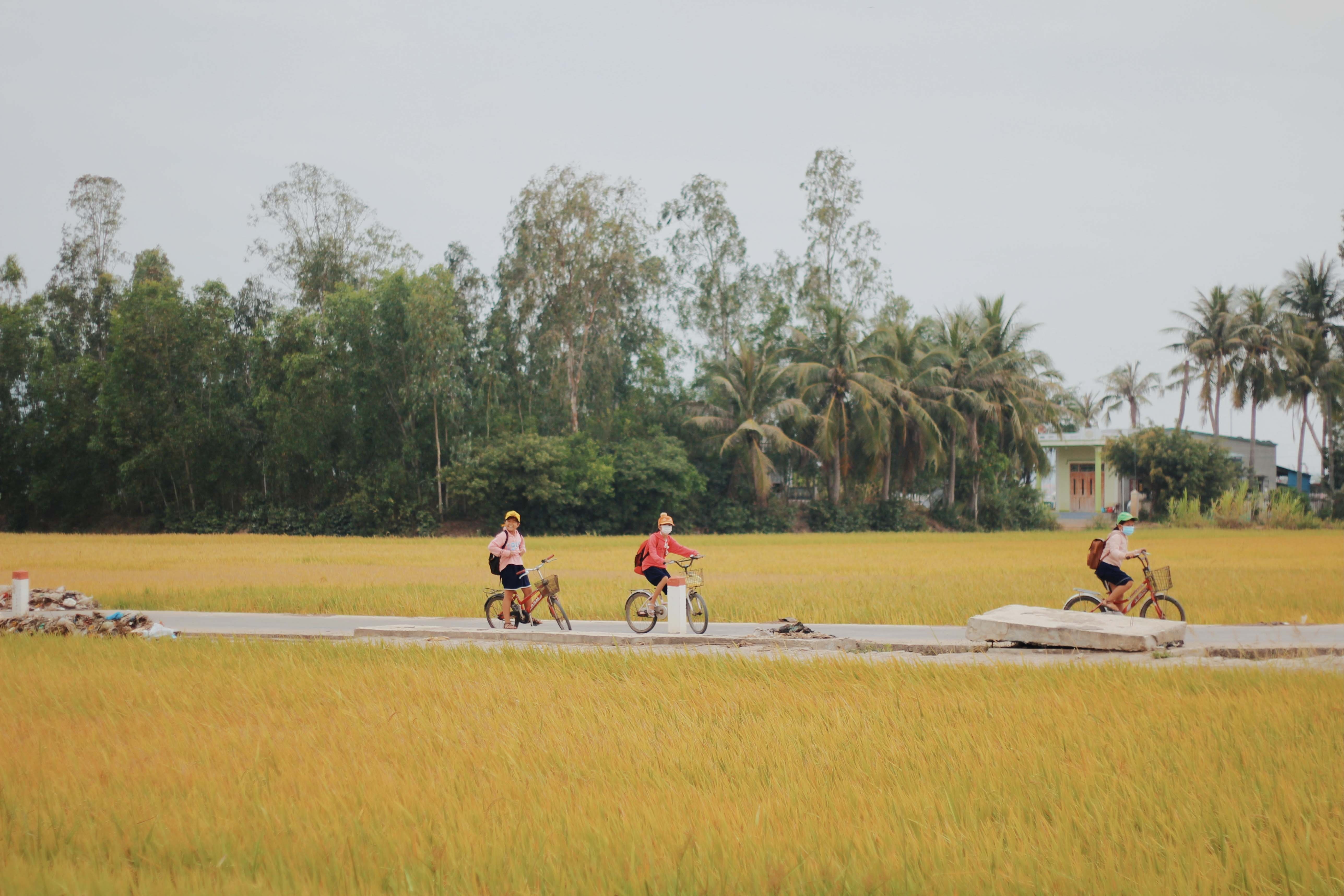 du lich Phu Yen anh 22