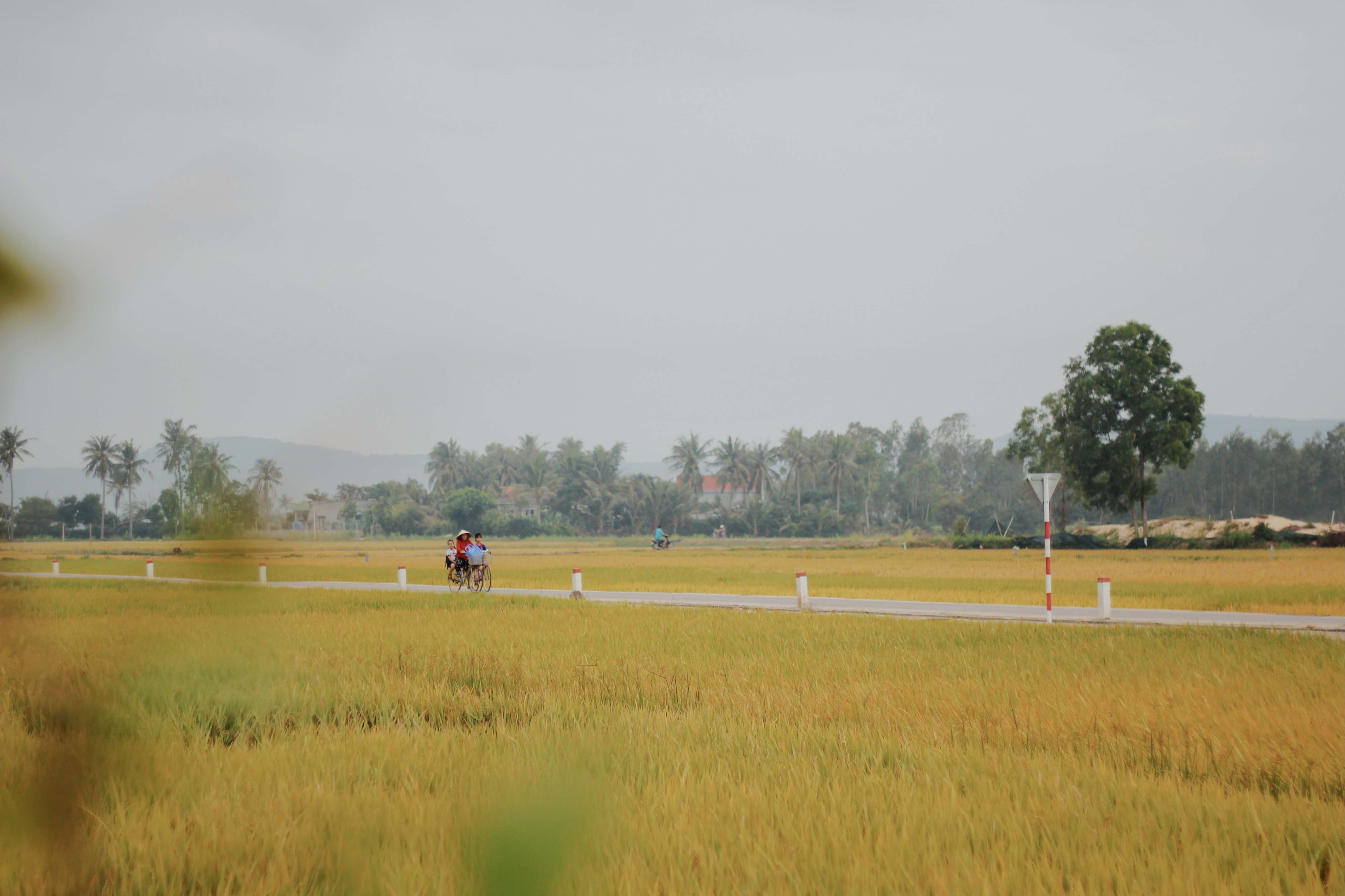 du lich Phu Yen anh 21
