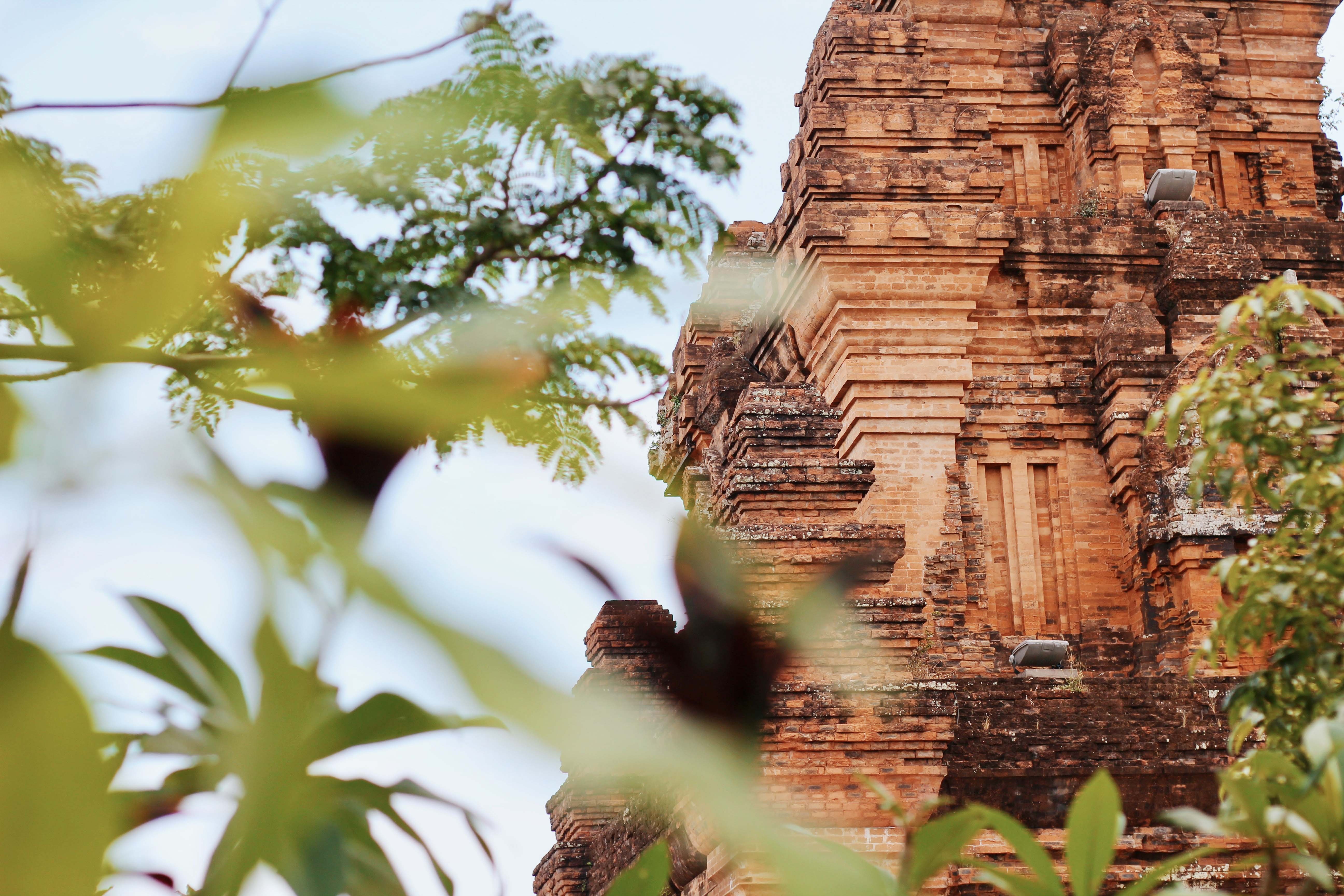 du lich Phu Yen anh 25