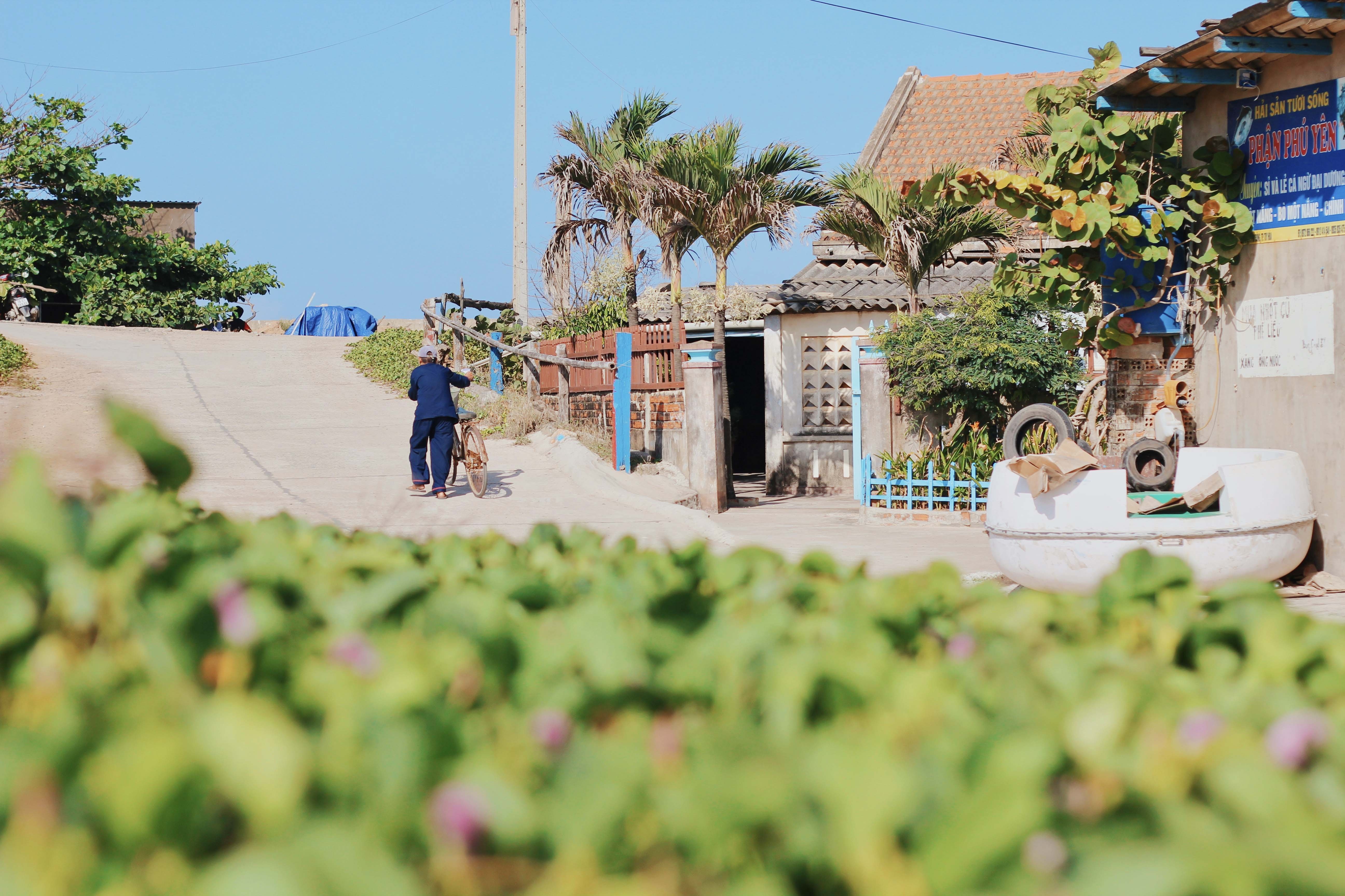 du lich Phu Yen anh 20