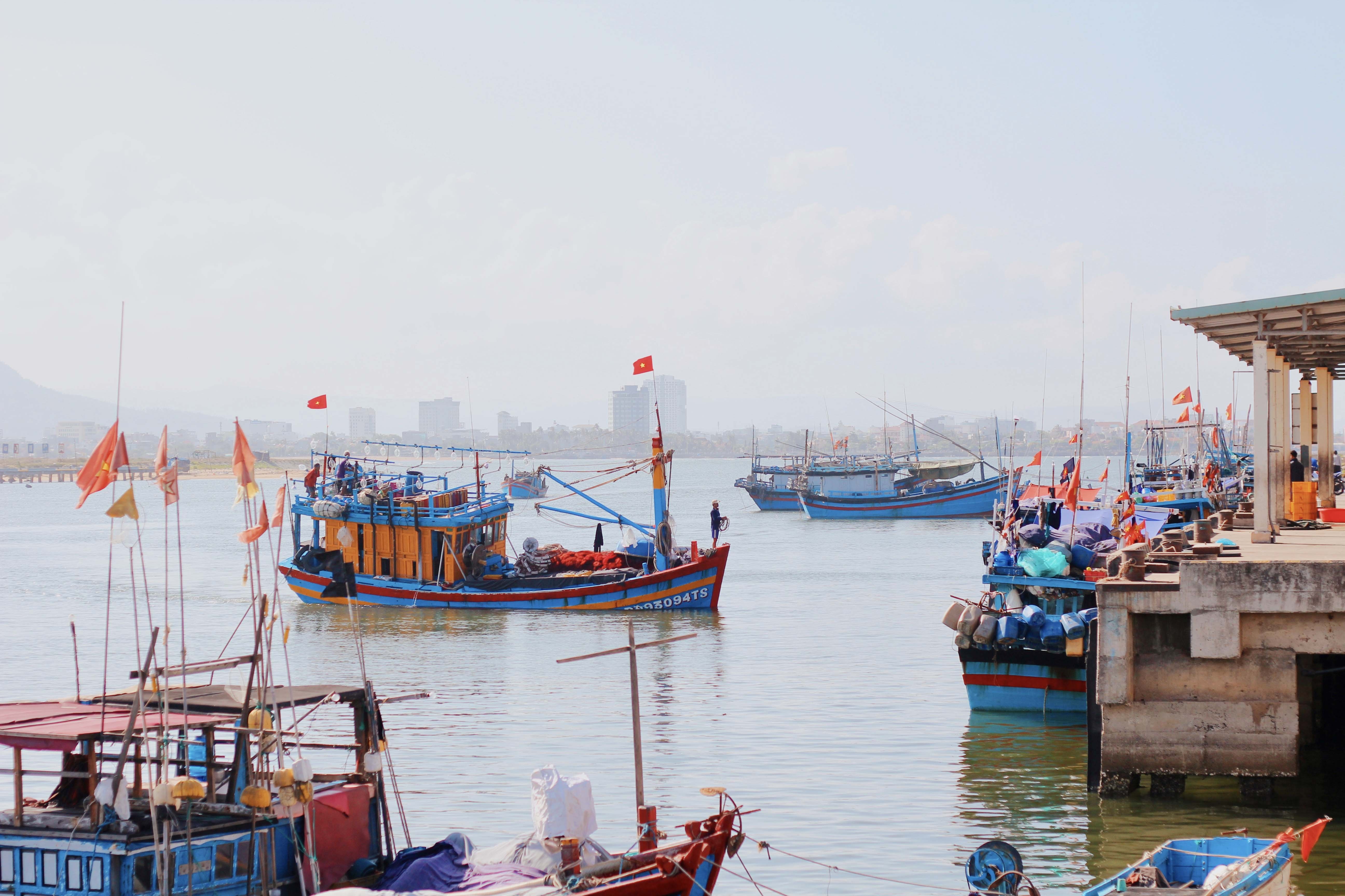 du lich Phu Yen anh 11