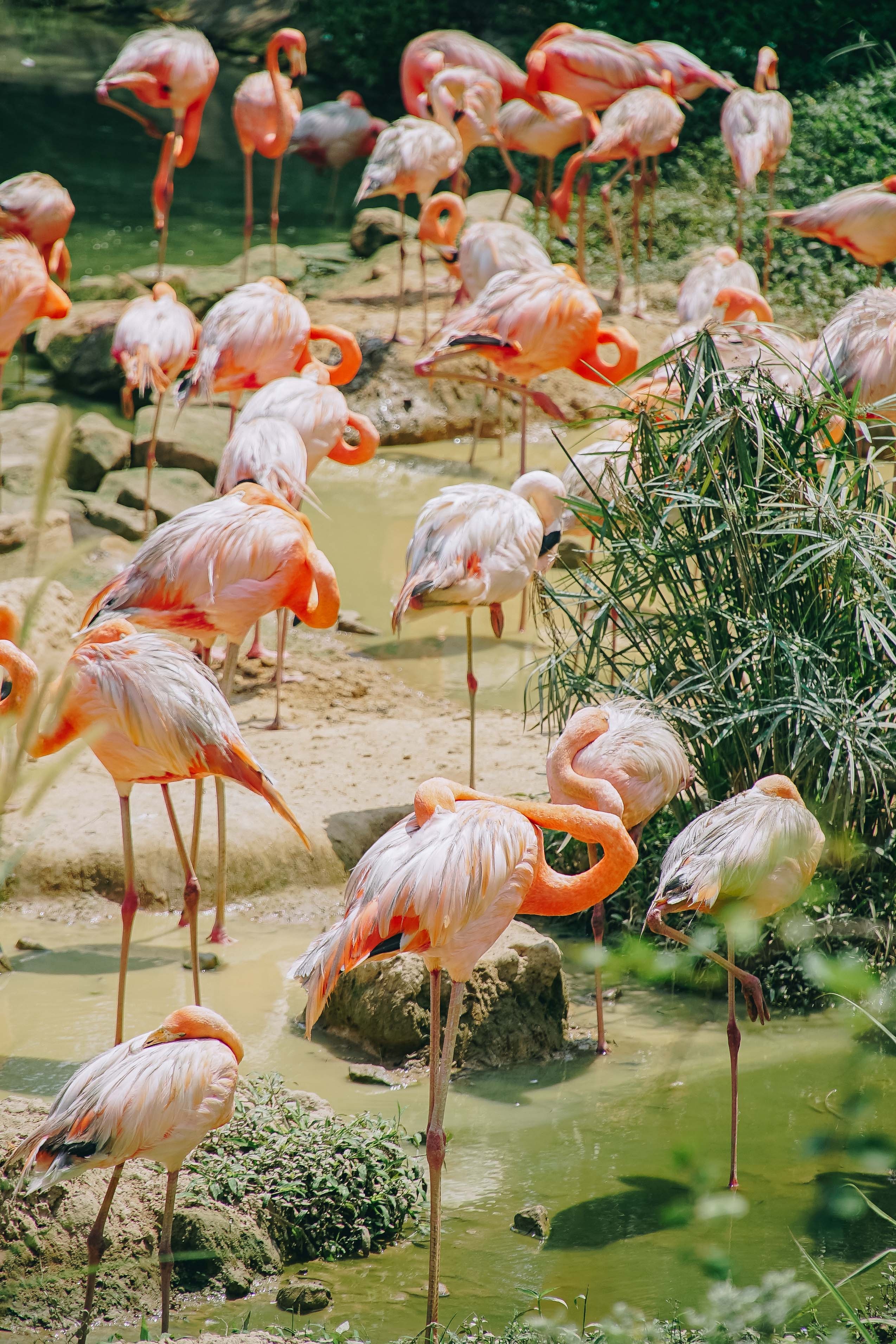 Check-in Phu Quoc anh 24