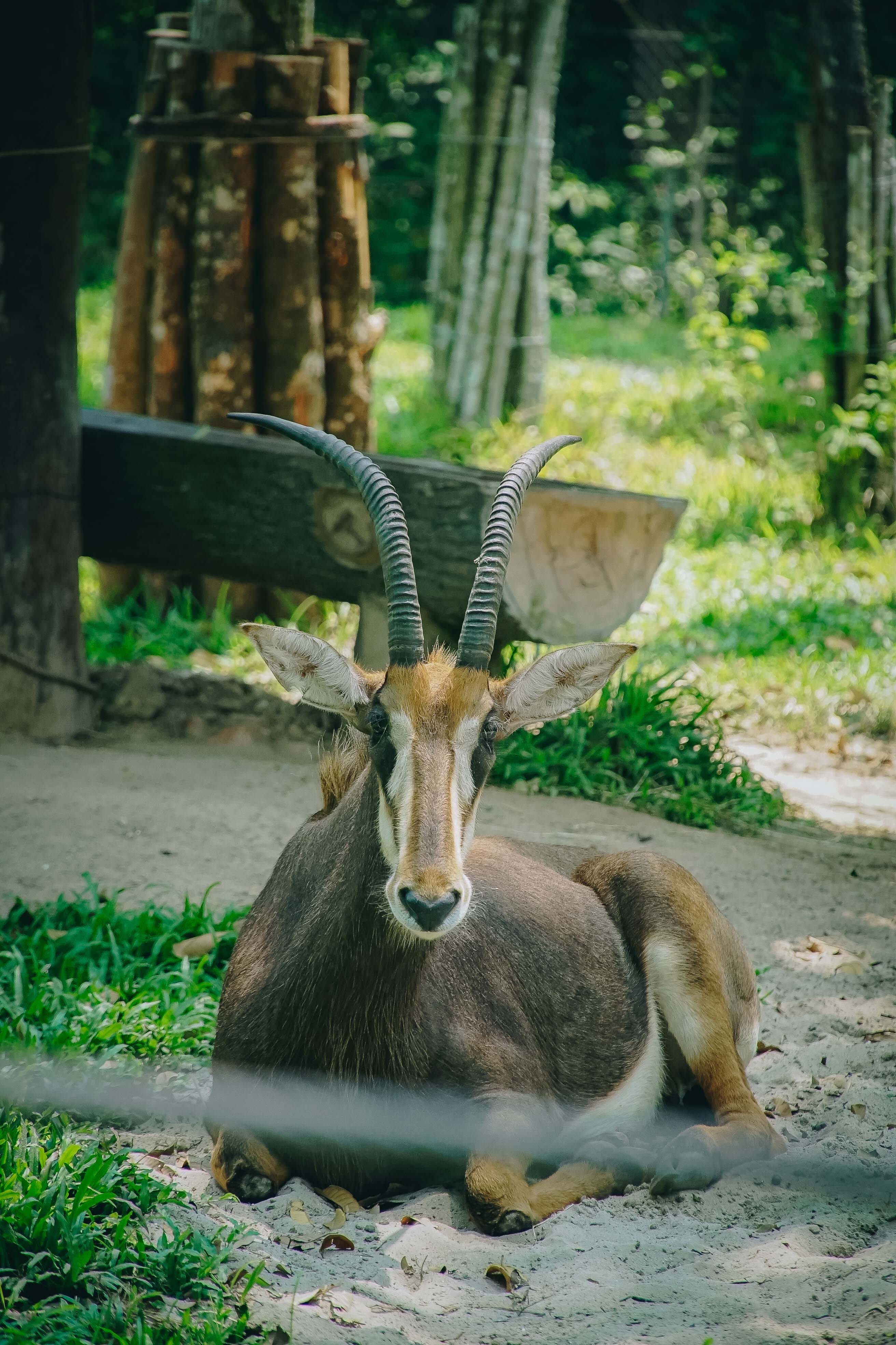 Check-in Phu Quoc anh 26