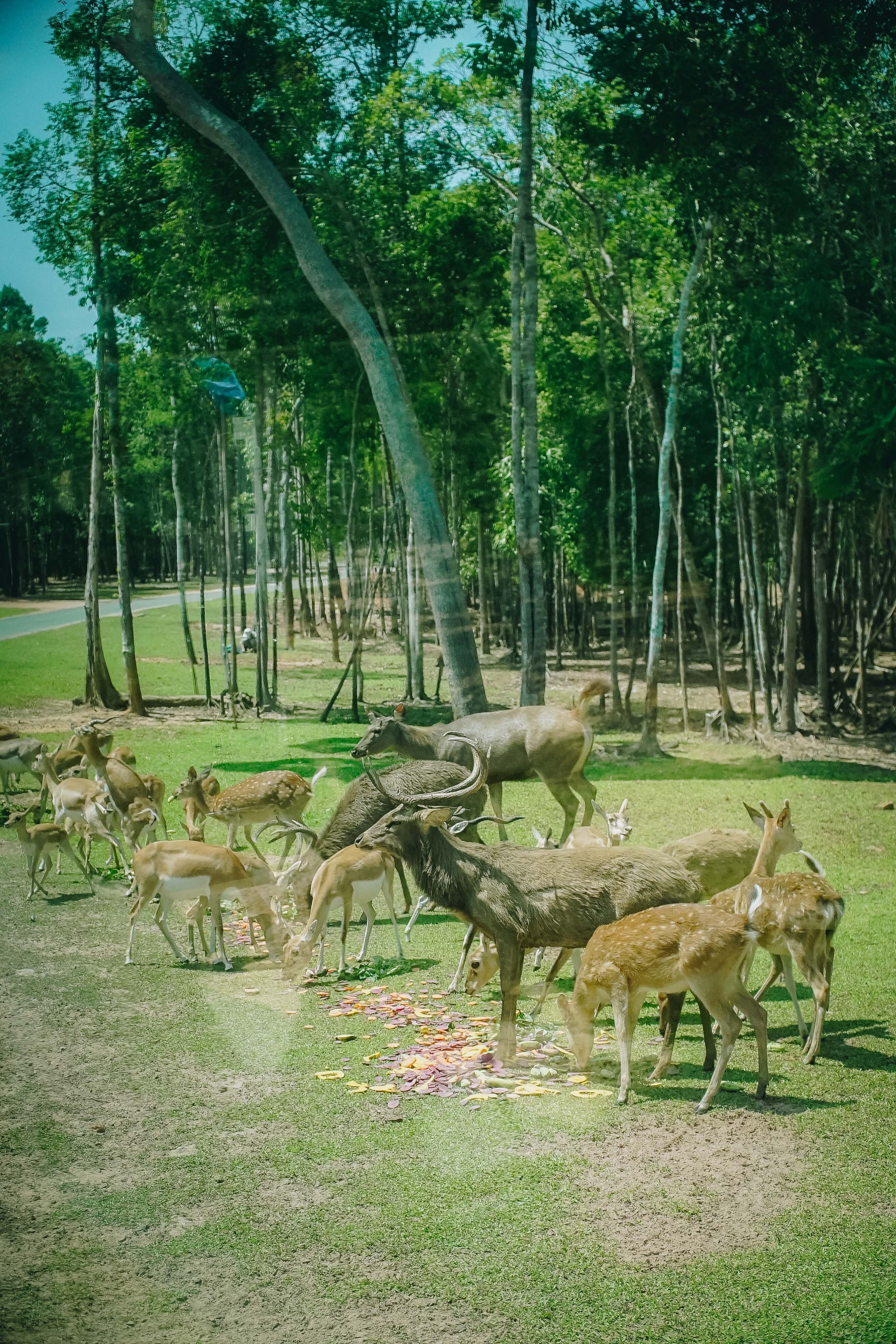 Check-in Phu Quoc anh 25