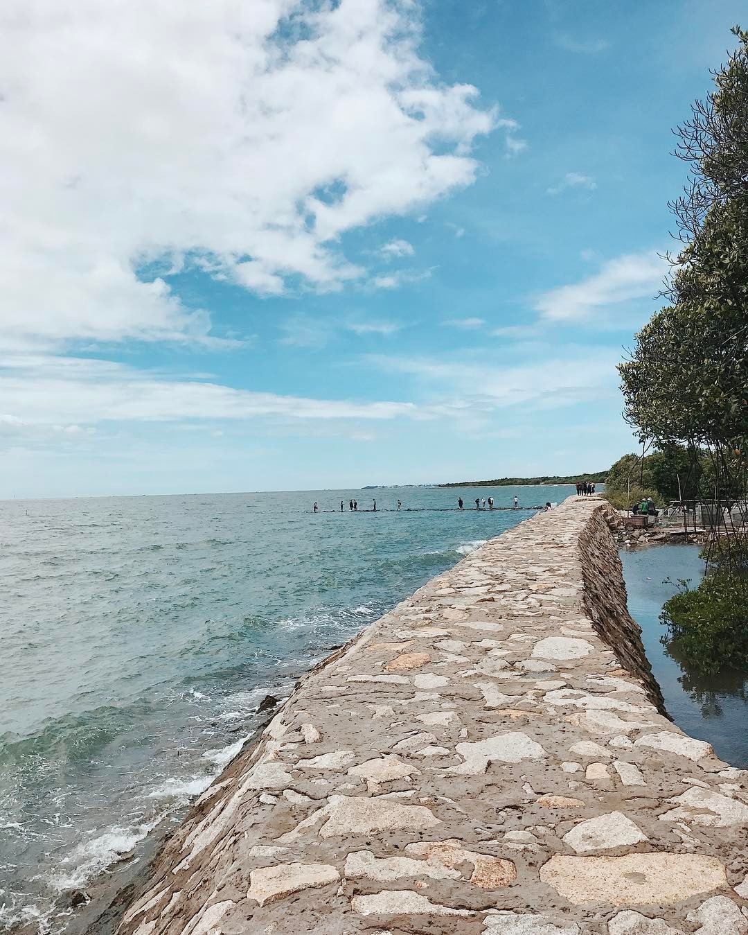 du lich dao gan TP.HCM anh 4