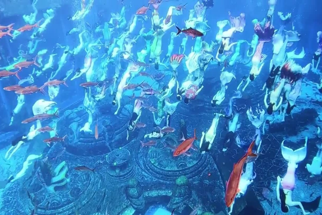 Hon 100 'tien ca' bieu dien lap ky luc Guinness hinh anh