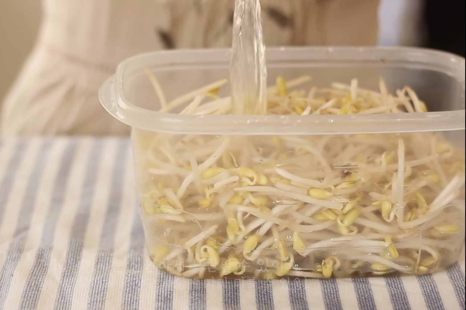 Meo bao quan toi va cac nguyen lieu nau an tuoi lau nhat hinh anh