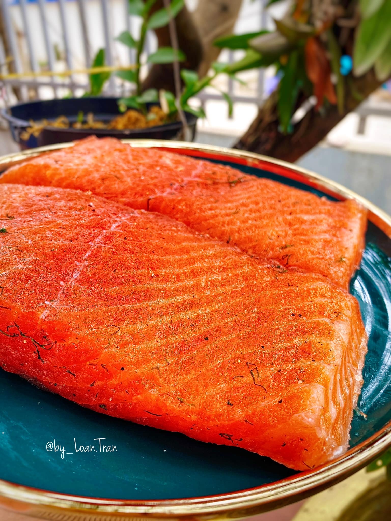 chế biến cá hồi ảnh 1 che bien ca hoi anh 1