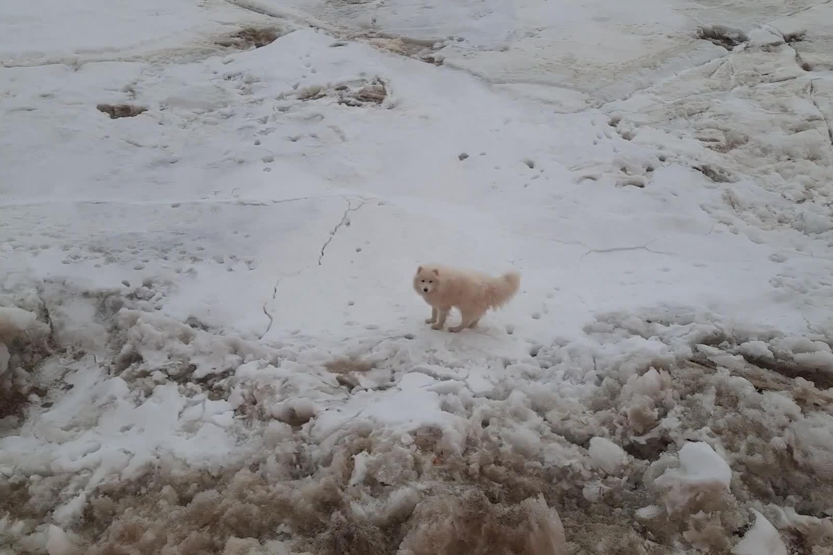 Tau pha bang cua Nga giai cuu chu cho mac ket hinh anh