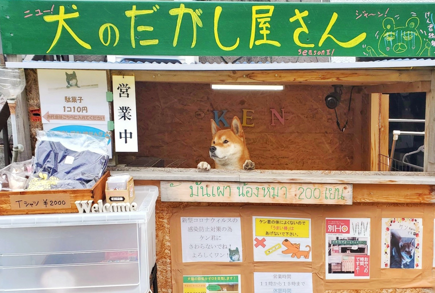 Chu cho ban khoai noi tieng Nhat Ban qua doi hinh anh