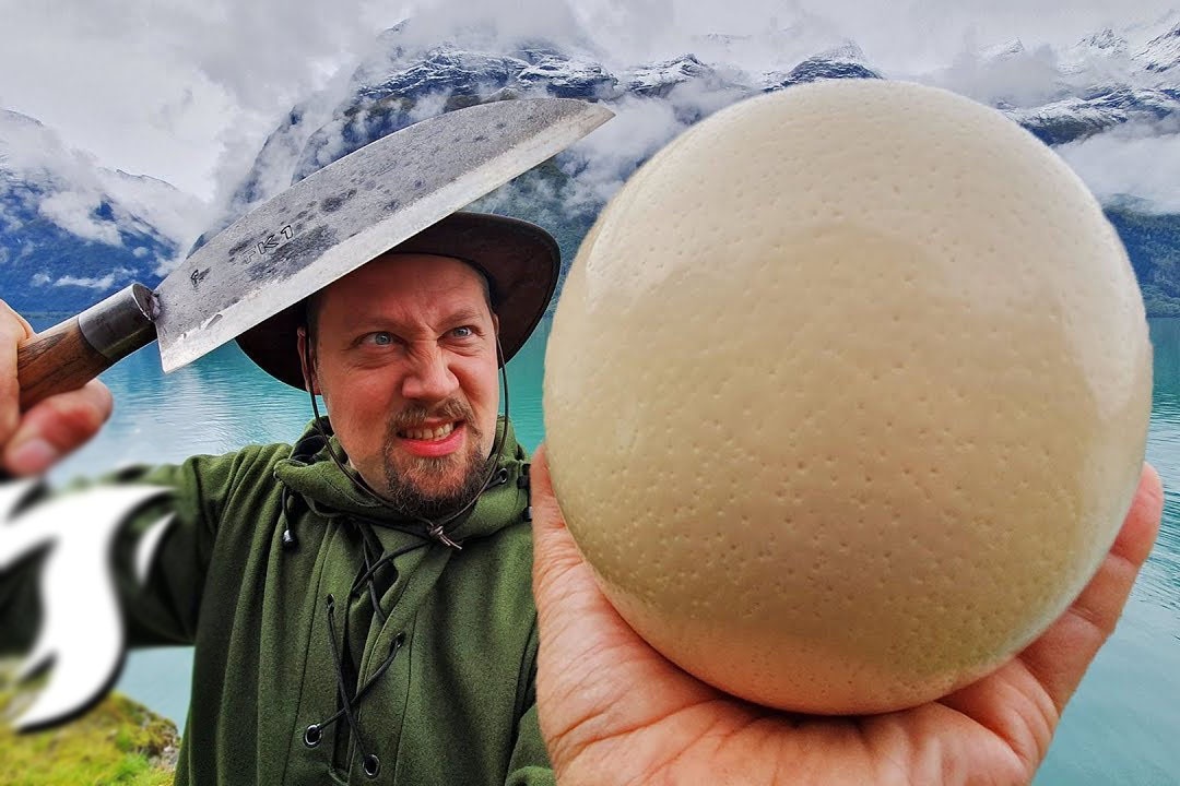 Dau bep op la trung da dieu giua rung Na Uy hinh anh