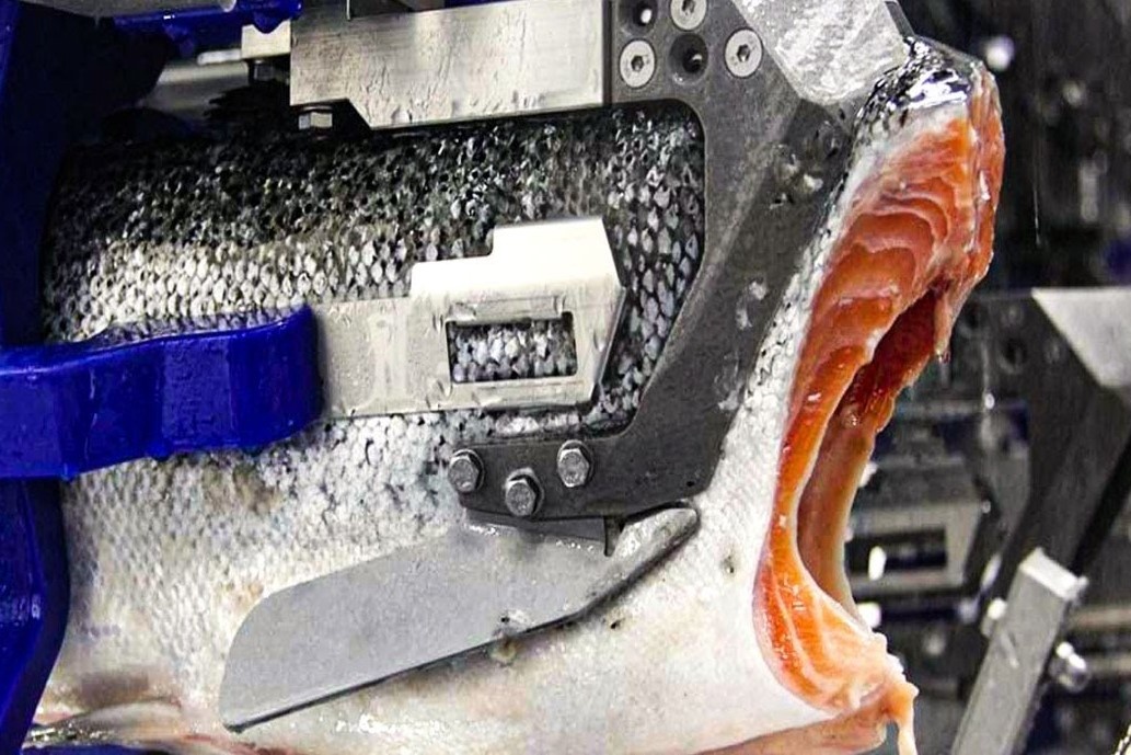 Ca hoi phi le tai nha may duoc lam the nao hinh anh