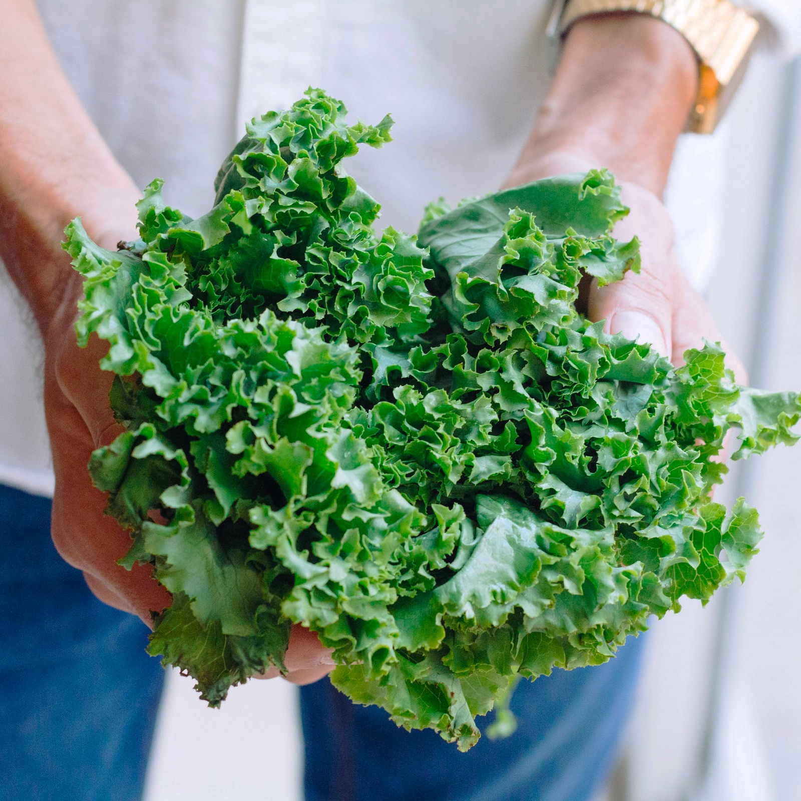 phan biet rau cai anh 2