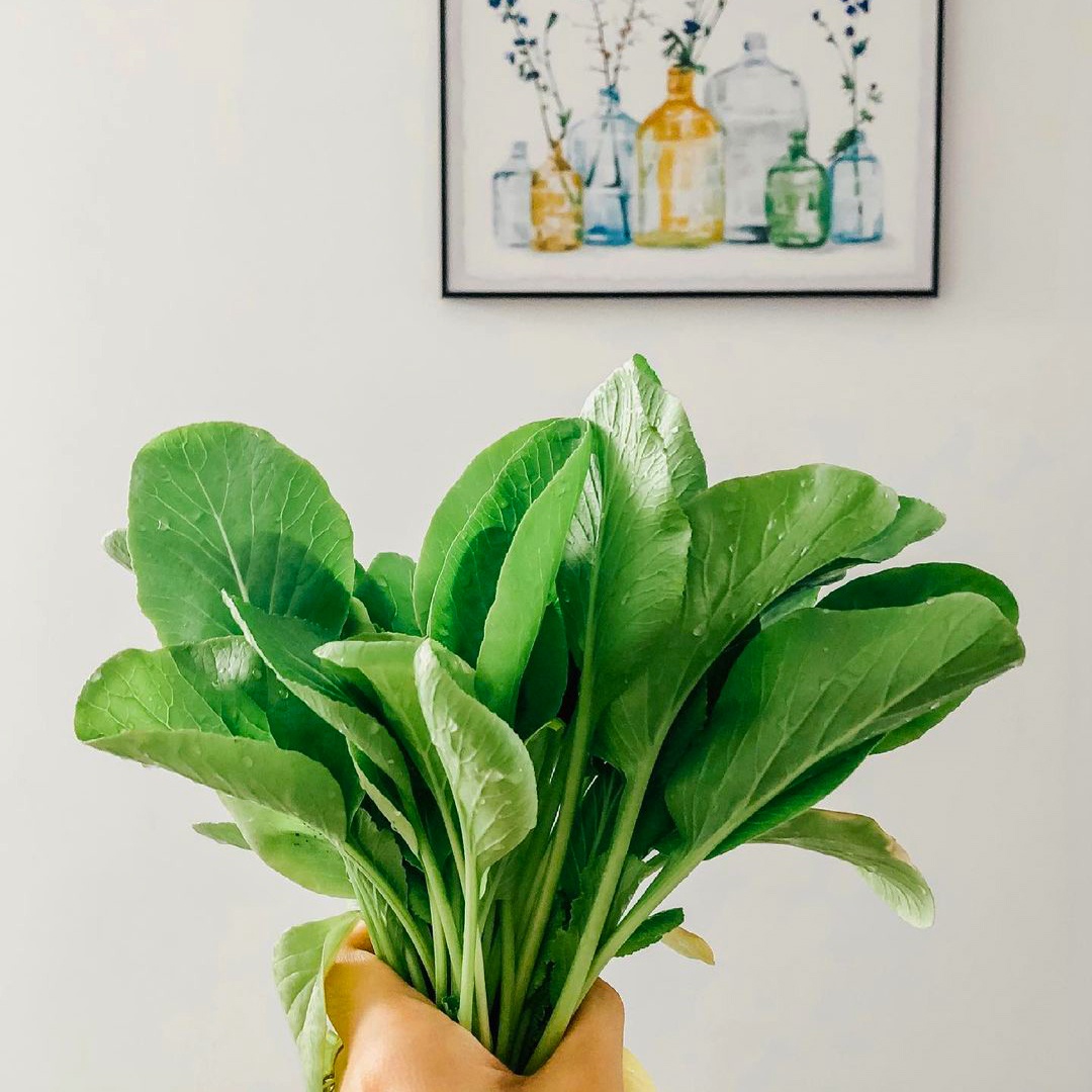 phan biet rau cai anh 6