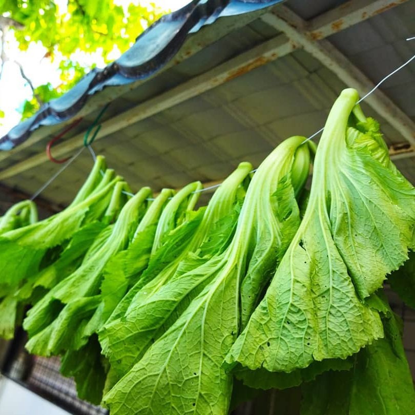 phan biet rau cai anh 8