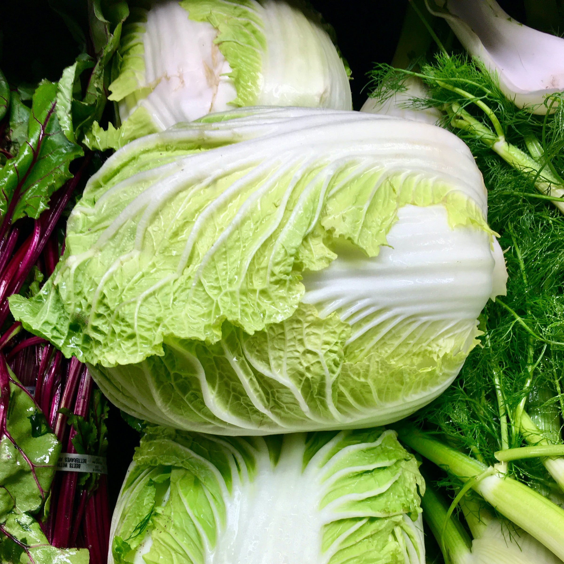 phan biet rau cai anh 3