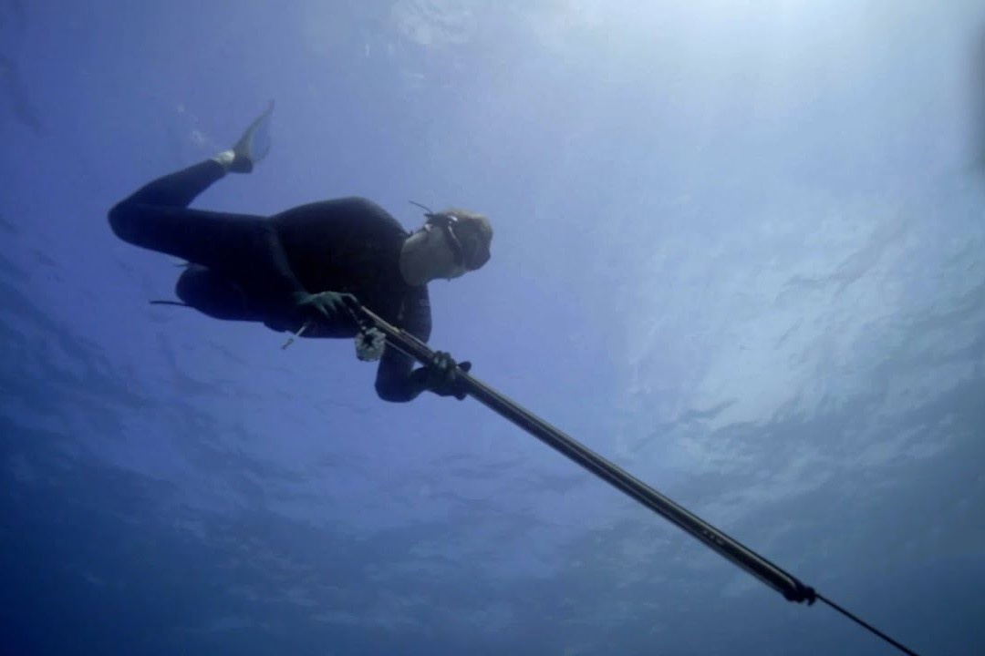 Gordon Ramsay lan bien san ca hong hinh anh