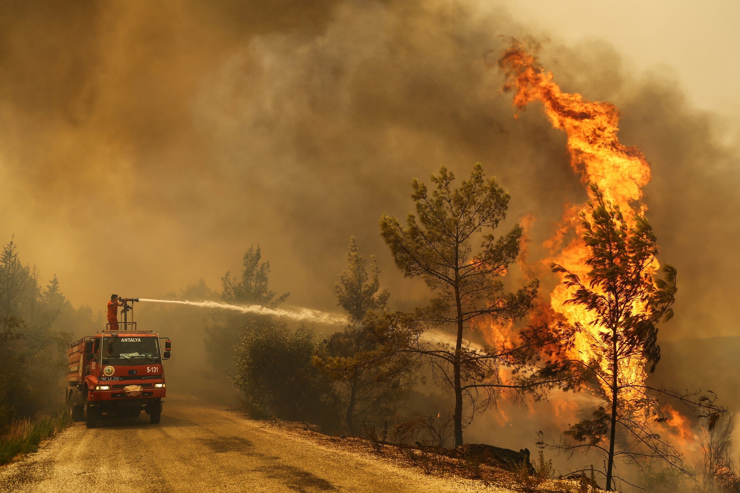 Du khach so tan khan cap do chay rung o Tho Nhi Ky hinh anh