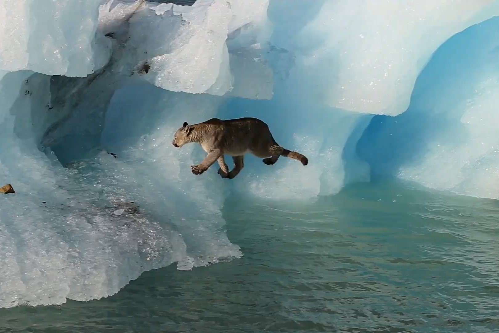 Bao su tu hoang da tru an tren tang bang troi hinh anh