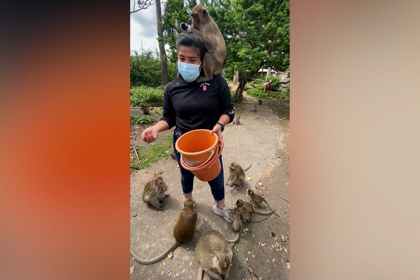 Khi bao vay du khach de xin an o Thai Lan hinh anh