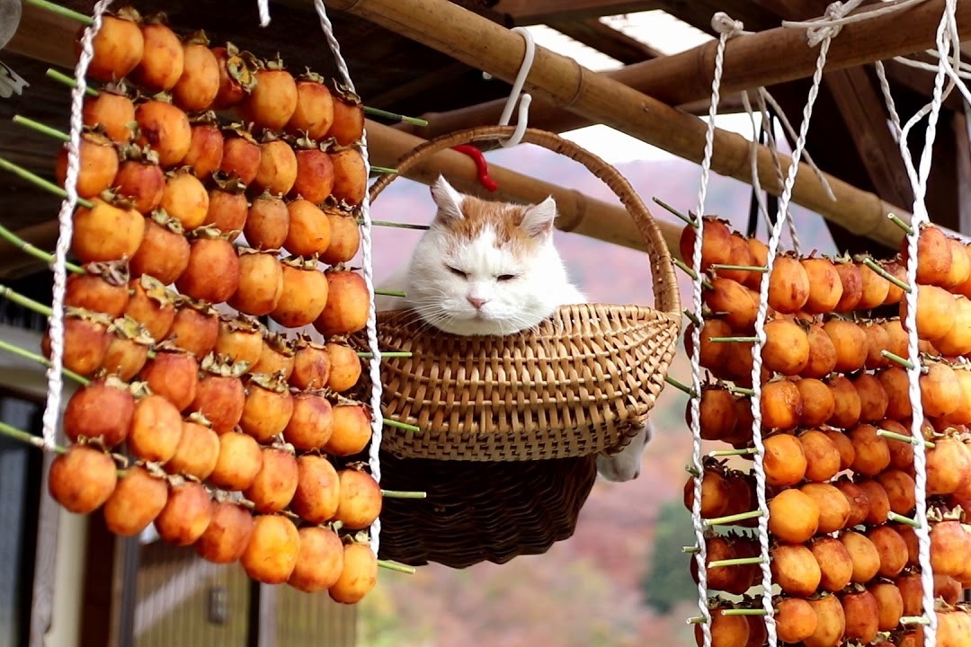 Cach nguoi Nhat lam dac san hong treo gio hinh anh