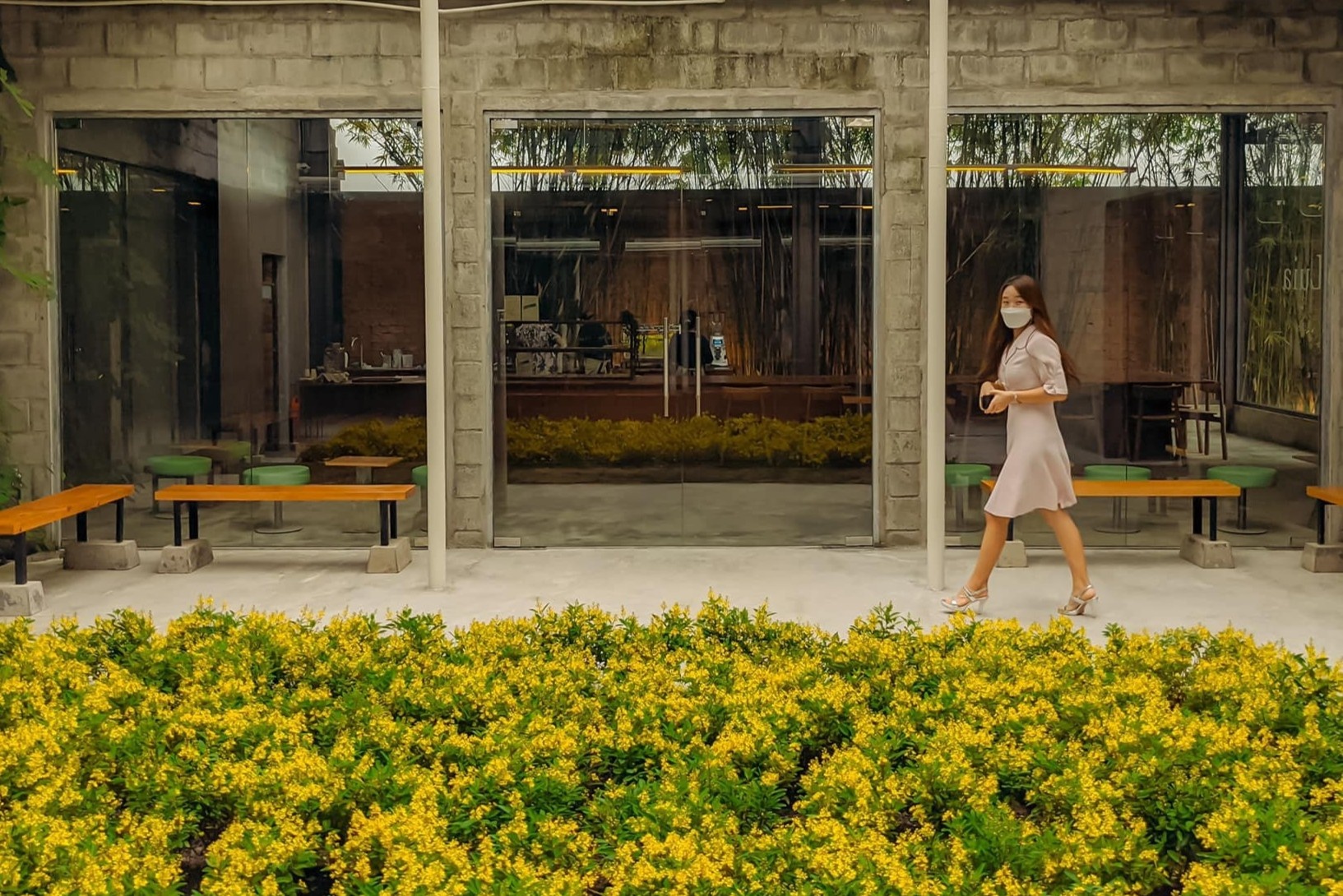 Nhieu quan ca phe moi o TP.HCM moc len sau dich hinh anh