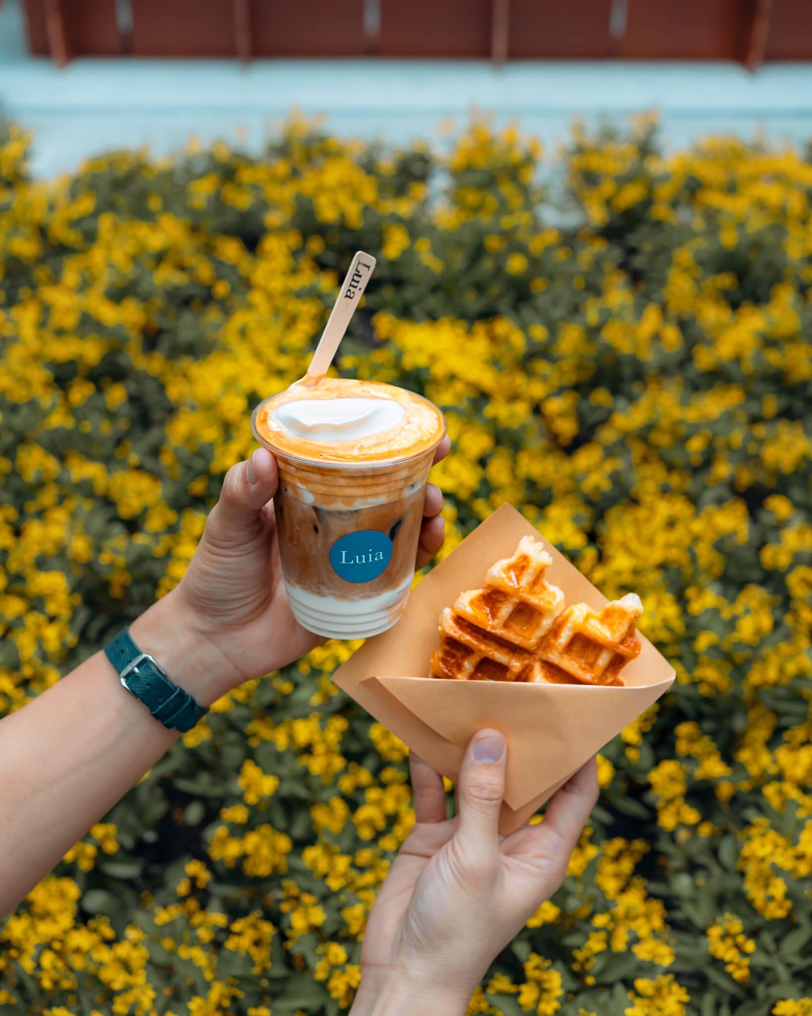 quán cà phê mới mở ảnh 4 quan ca phe moi mo anh 4