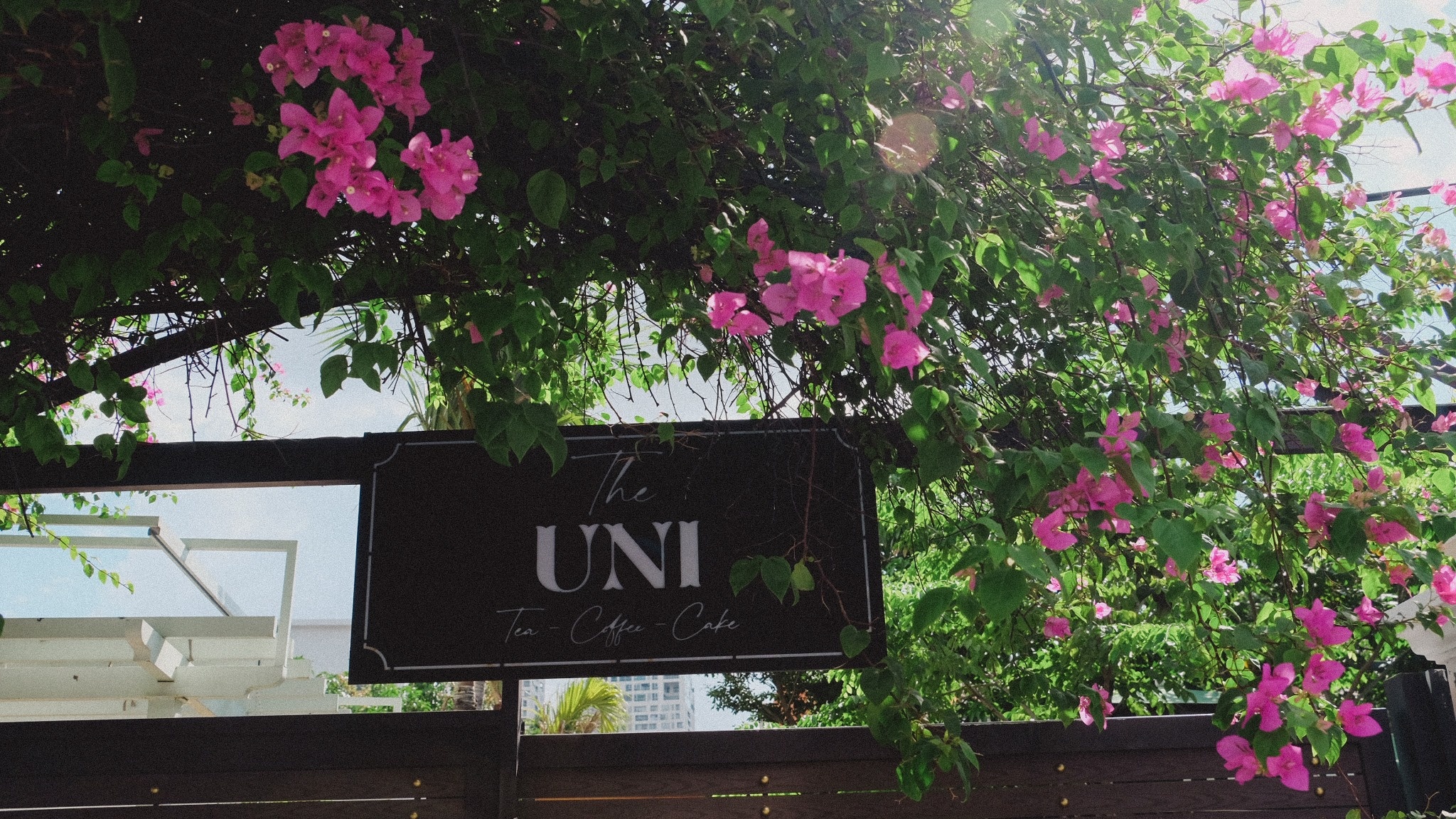 quan ca phe moi mo anh 5