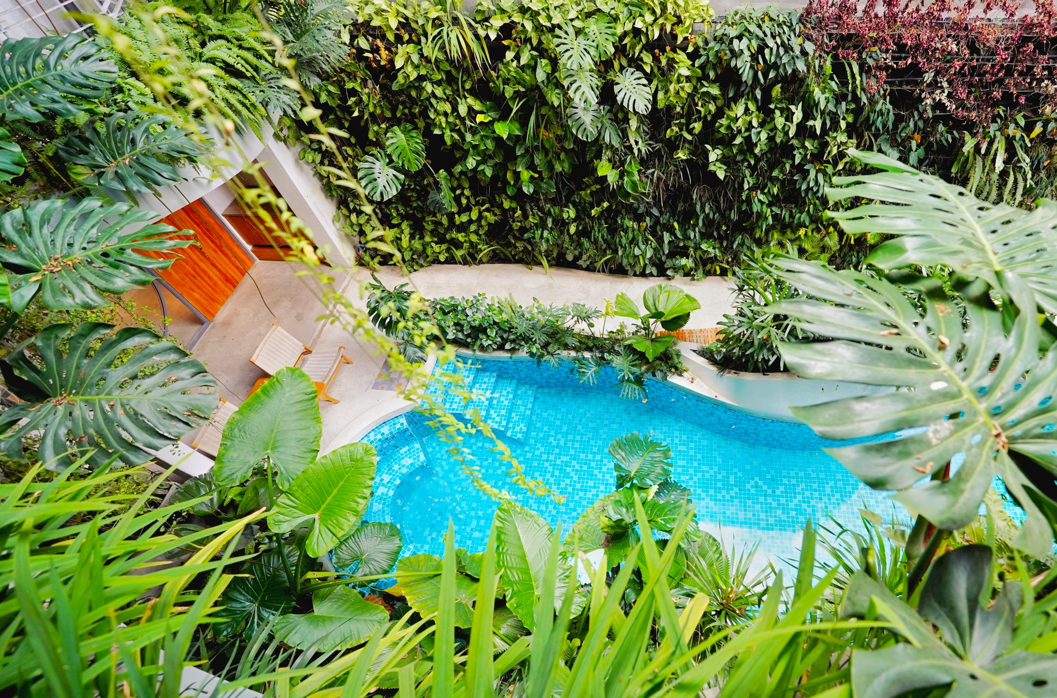 staycation o TP.HCM anh 3