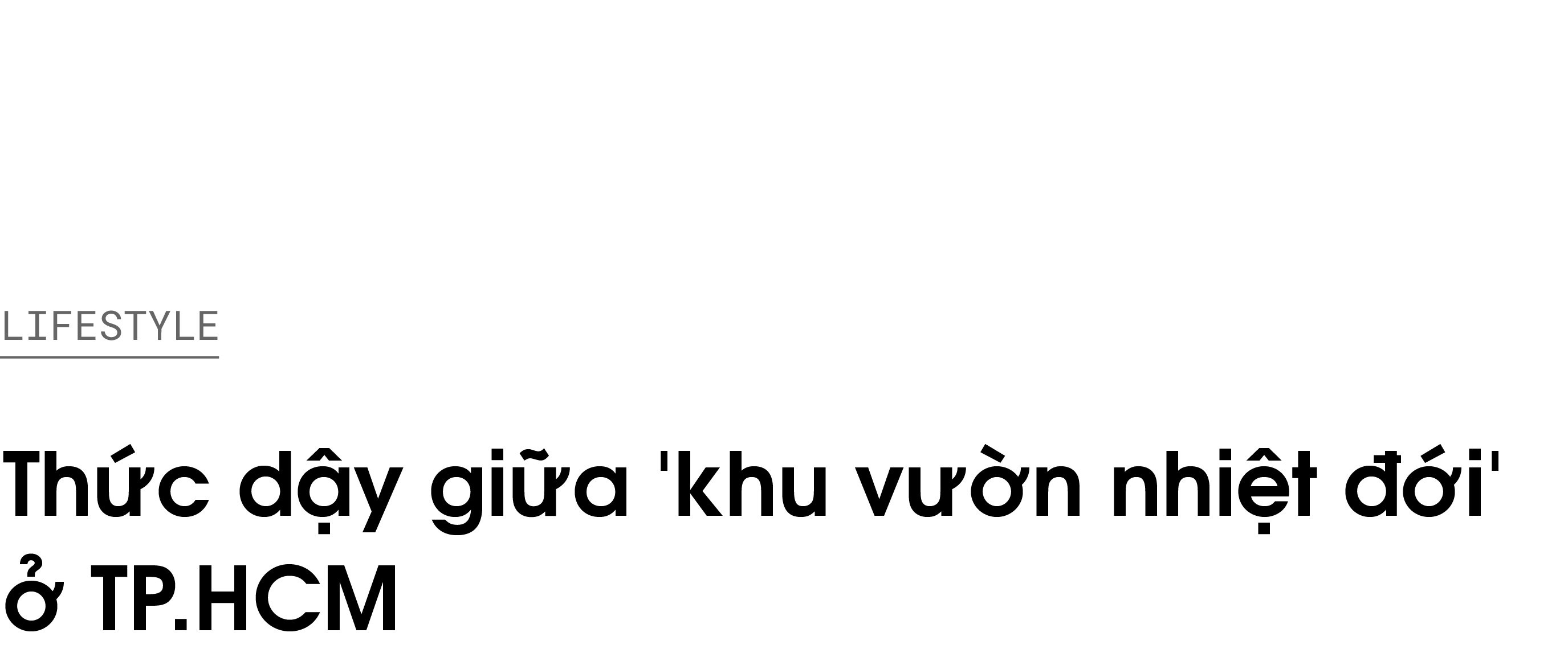 staycation o TP.HCM anh 1