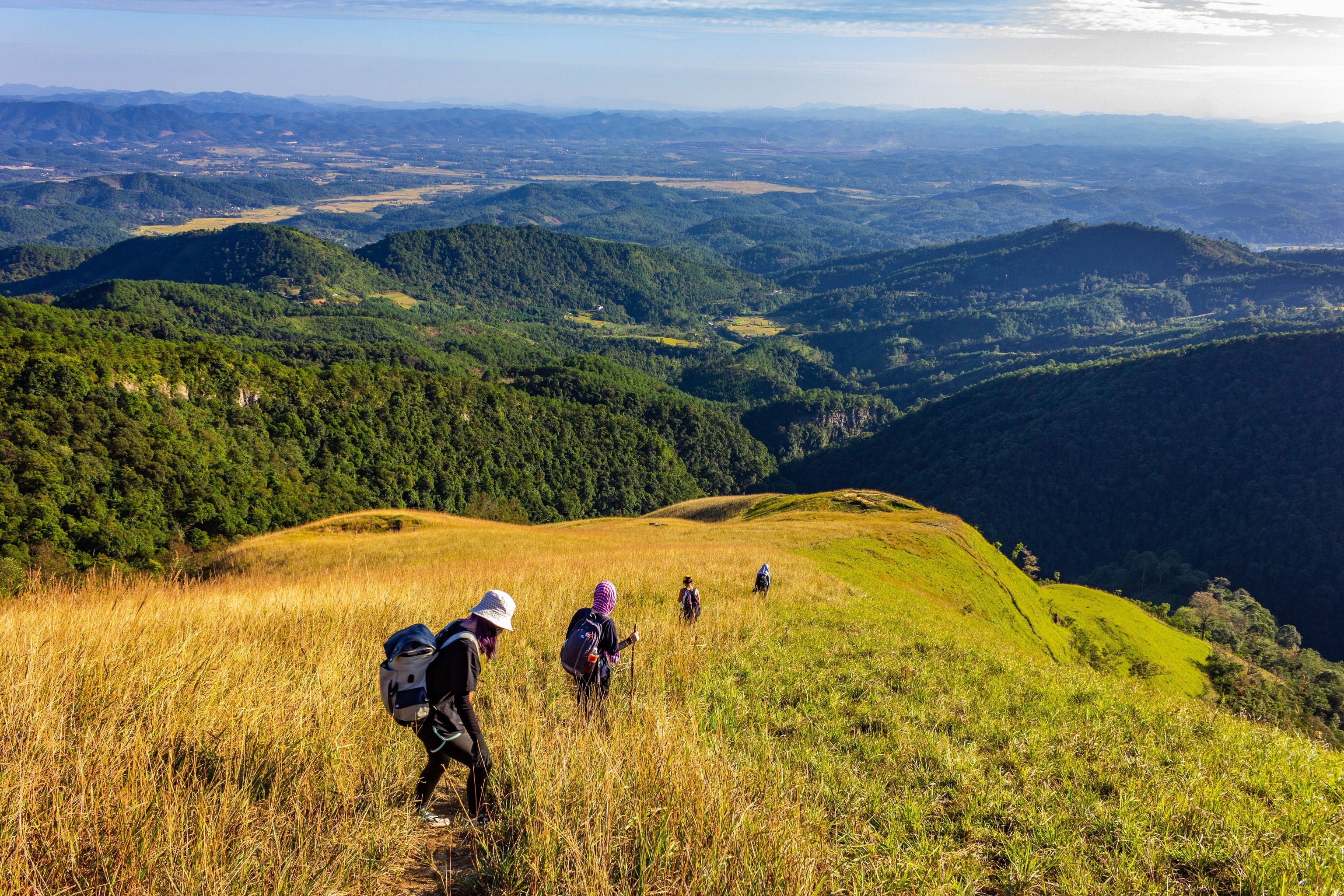 Ban do du lich an toan dau nam hinh anh